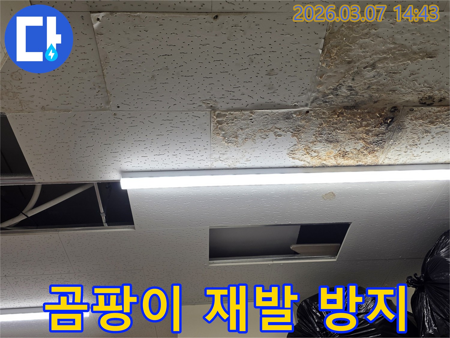 누수로-인해-천장 텍스에-발생한-곰팡이를-보여주며-누수 해결-후-재발 방지-및-건강한-환경-조성의-중요성을-나타내는-사진입니다