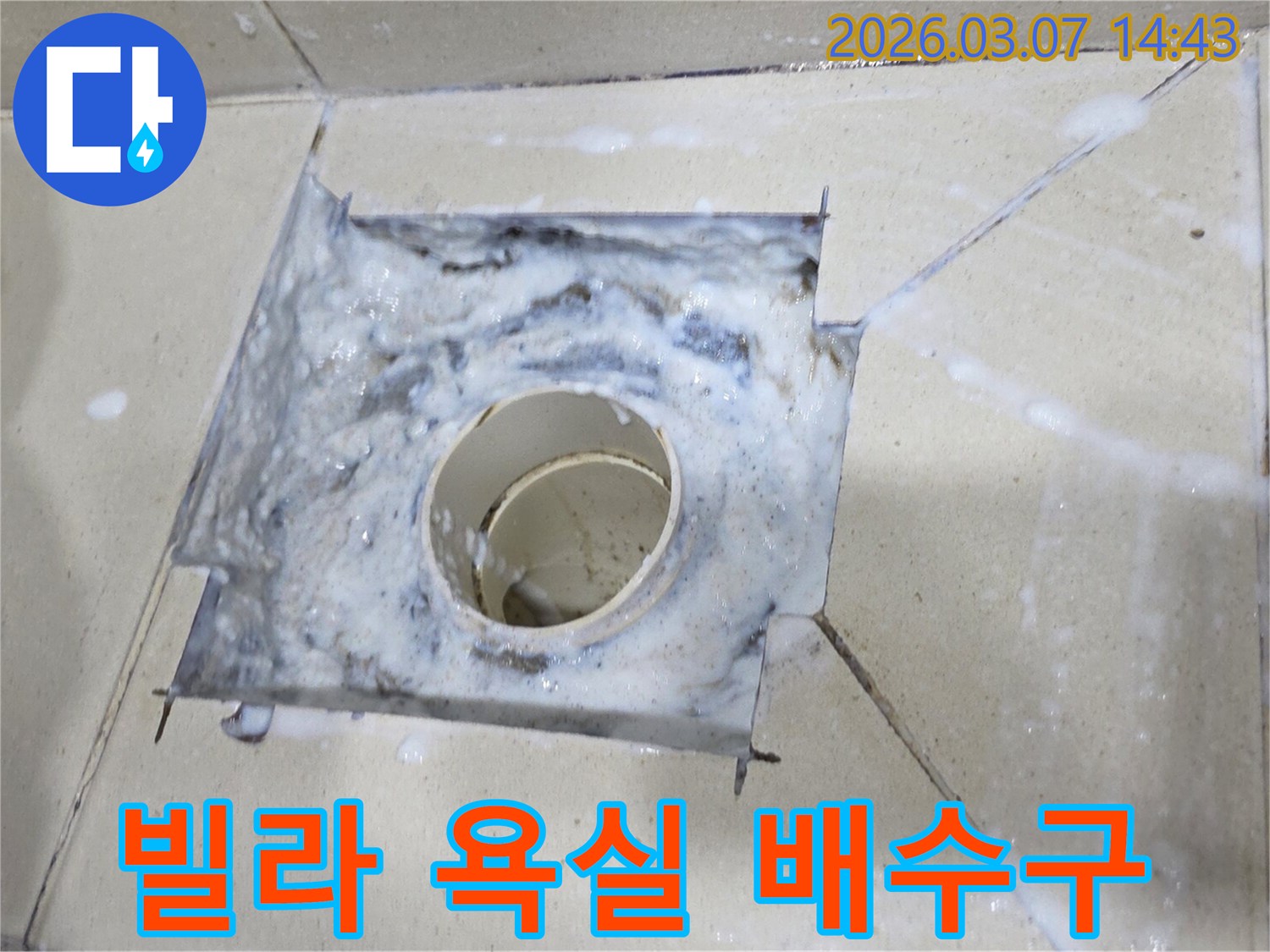 빌라 욕실 배수구에서 하얀 거품이 넘쳐흐르는-심각한 배수 시스템 문제를 보여줍니다.