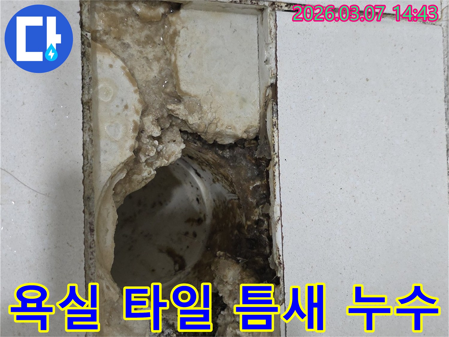욕실 타일-틈새로-스며들어-배수구 주변을-심하게-손상시킨-누수-현장입니다.