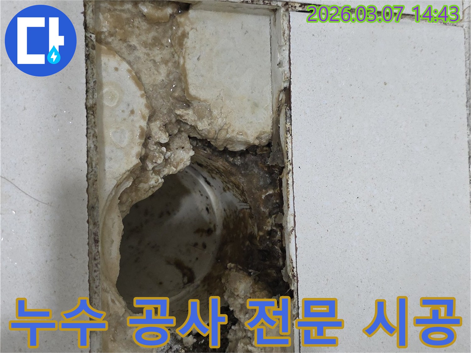 전문 기술력으로-완벽한-시공이-필요한-심각한-배수구-누수-현장입니다.