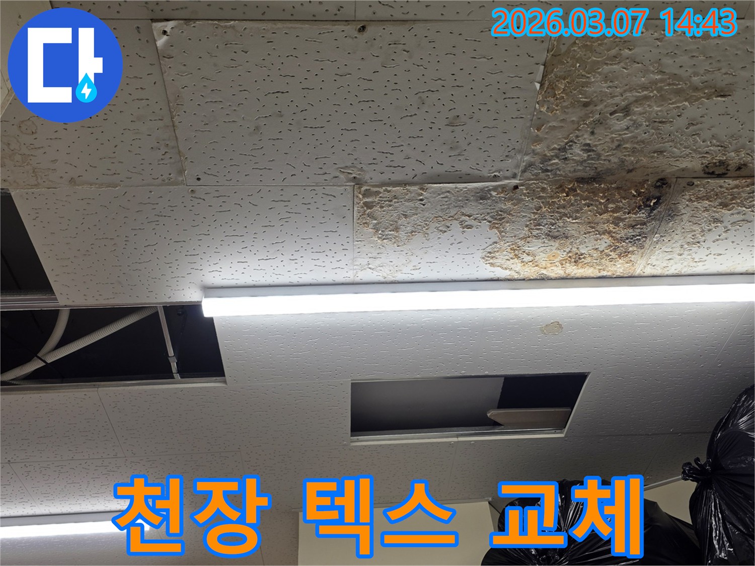 천장 텍스 마감재가-누수로 인해-심하게-손상되어-교체가-필요한-현장을-보여주는-사진입니다