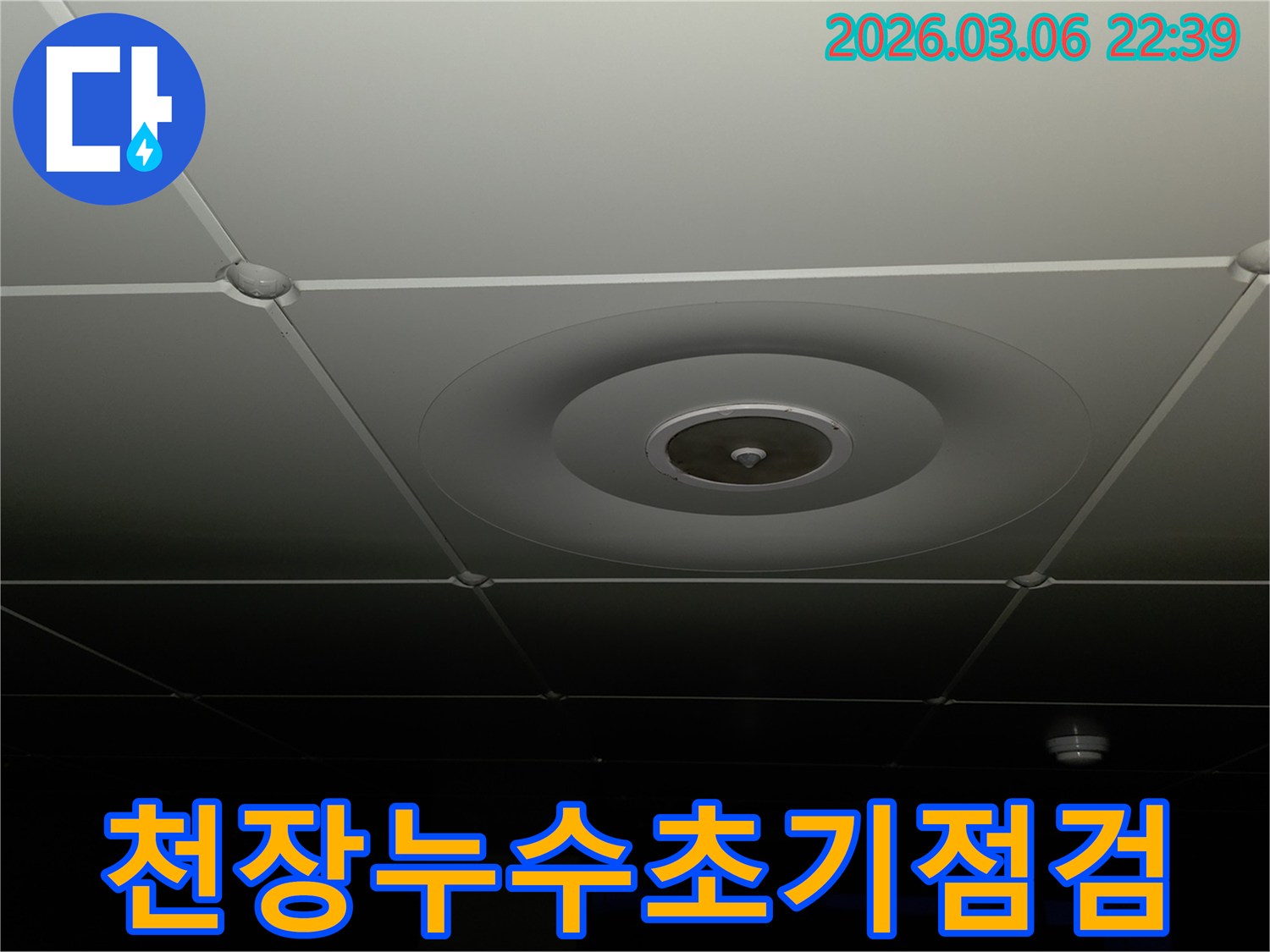 누수 전문가가-천장 마감재의-상태를-면밀히-살피며-누수 발생-가능성을-초기 단계에서-진단하는-모습