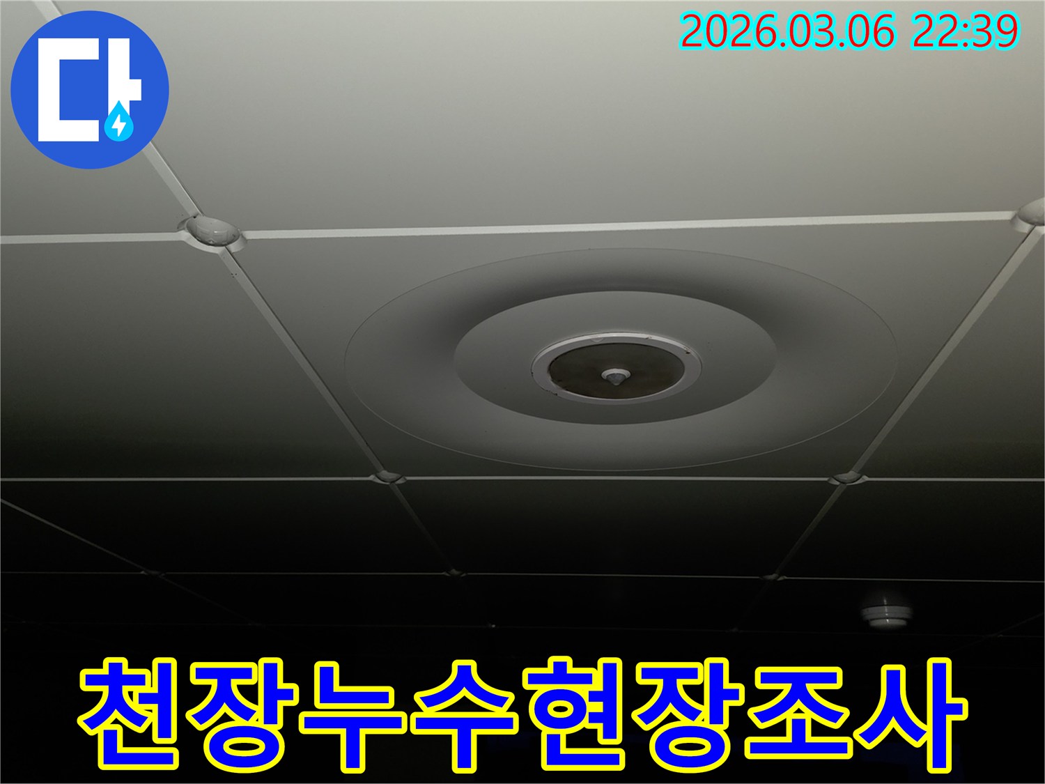 누수 전문가가-천장 마감재의-상태를-면밀히-조사하며-누수 발생의-징후를-찾아내는-모습