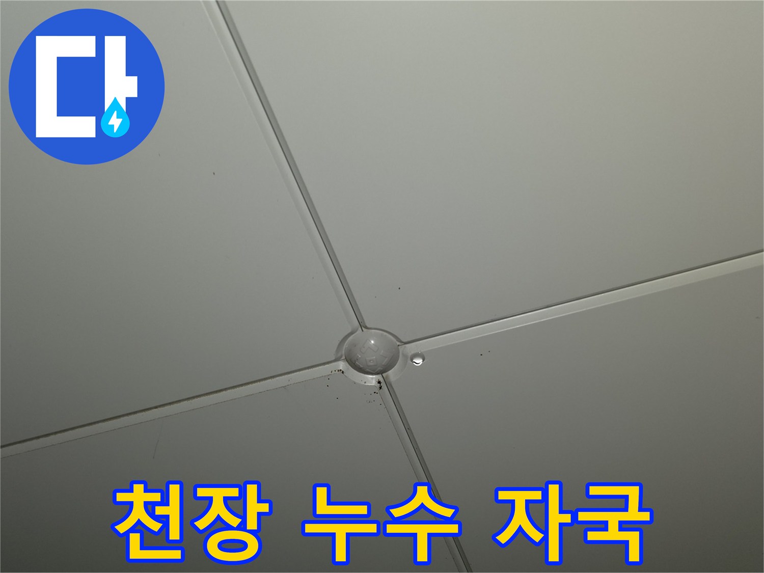 아파트 천장 판넬 부위의 미세한 물샘 흔적