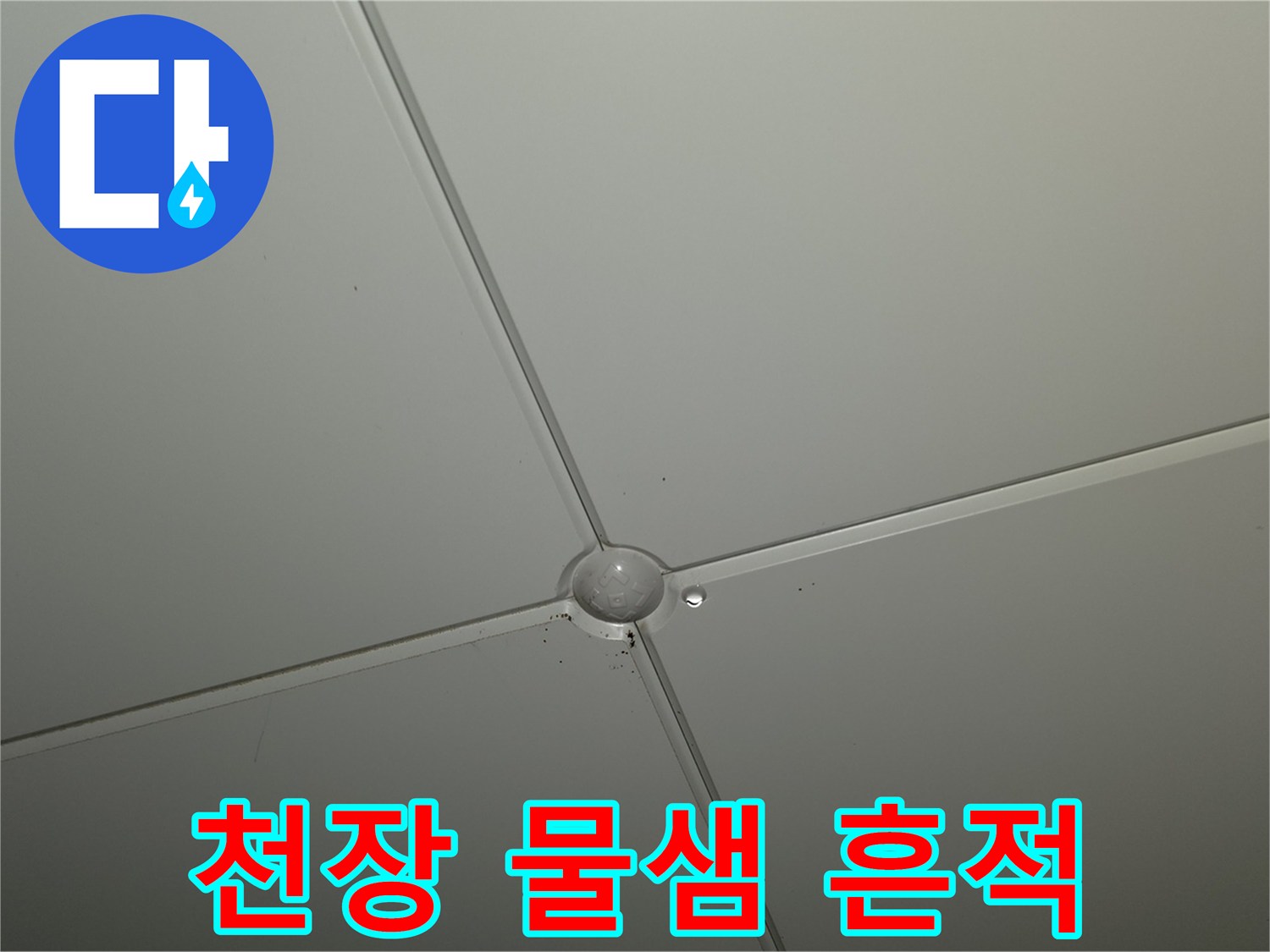 아파트 천장-패널 접합부-물샘 현상 확인
