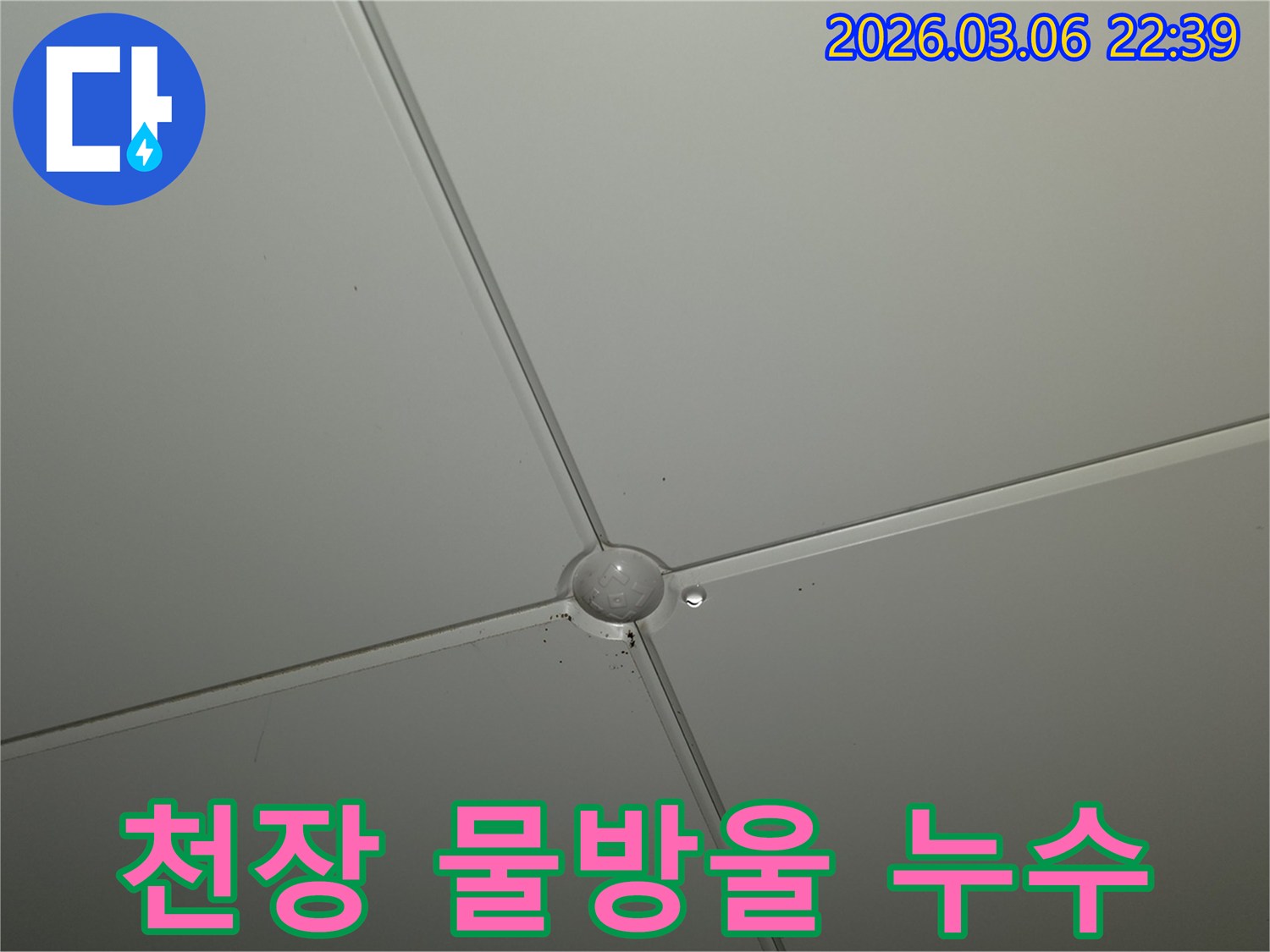 천장 마감재 교차점에서-작은 물방울이 맺혀있는-누수 초기 증상 현장