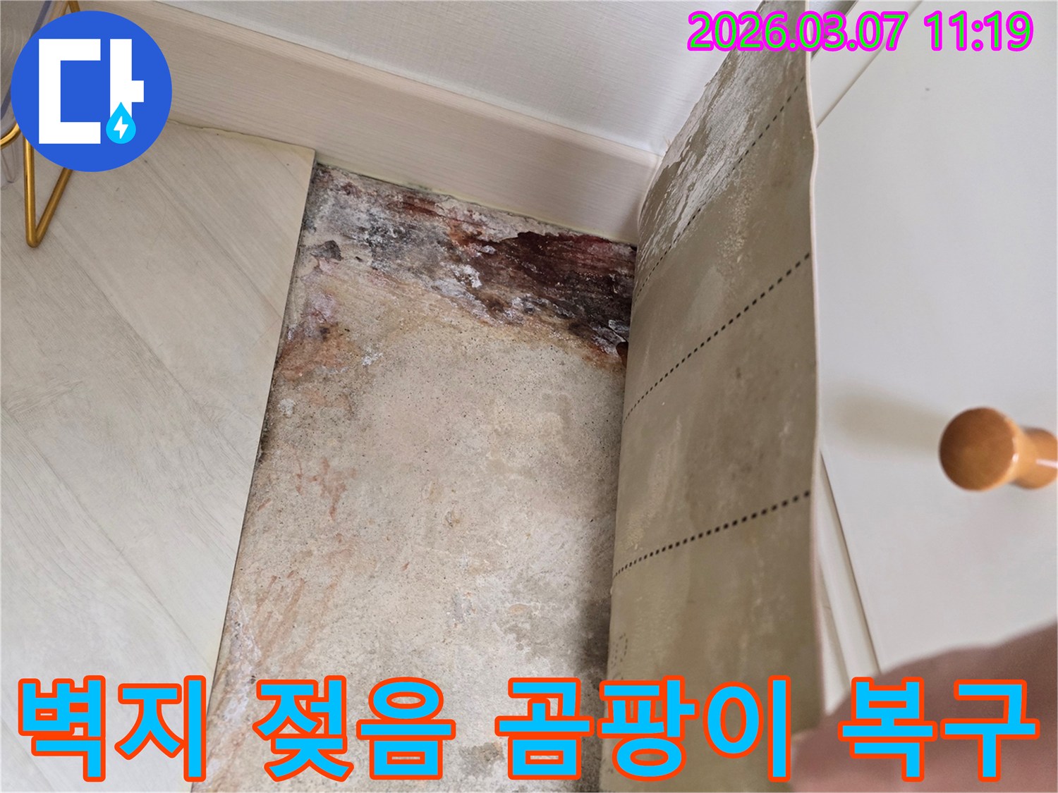 주택 벽면에서 벽지를 제거한 후 드러난 심각한 물기로 인한 손상과-곰팡이 흔적을 보여주는 사진