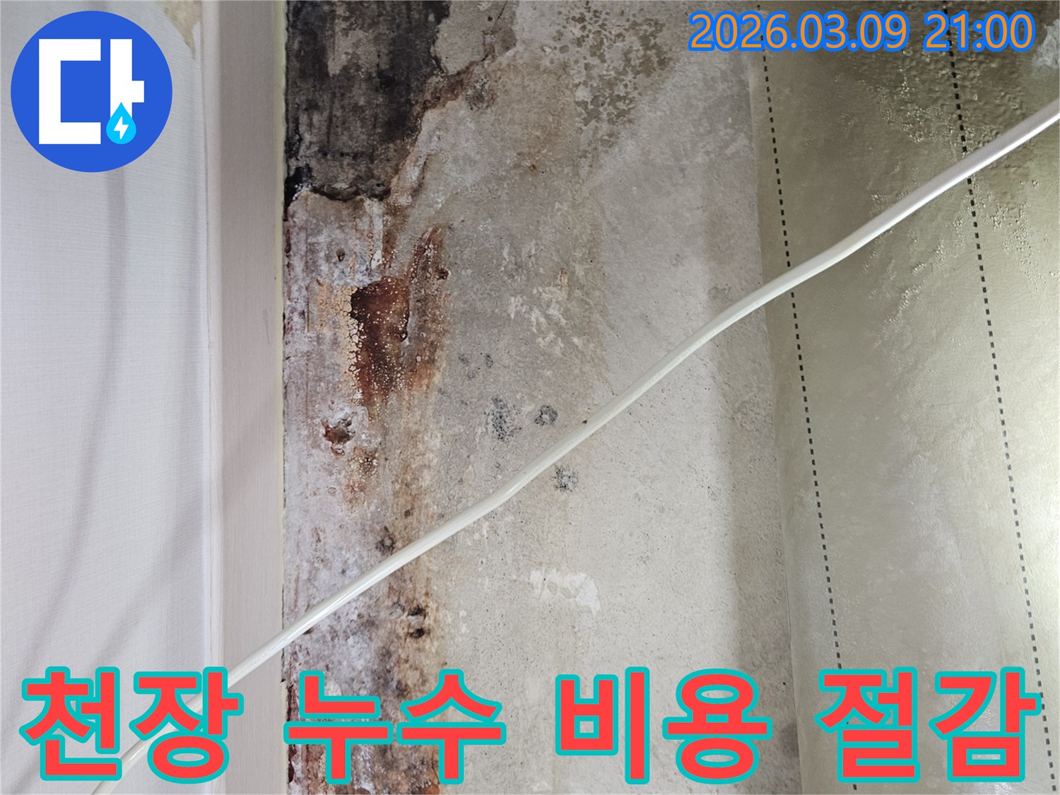 천장-누수-현장에서-정확한-진단으로-불필요한-공사를-줄여-비용을-절감하는-모습