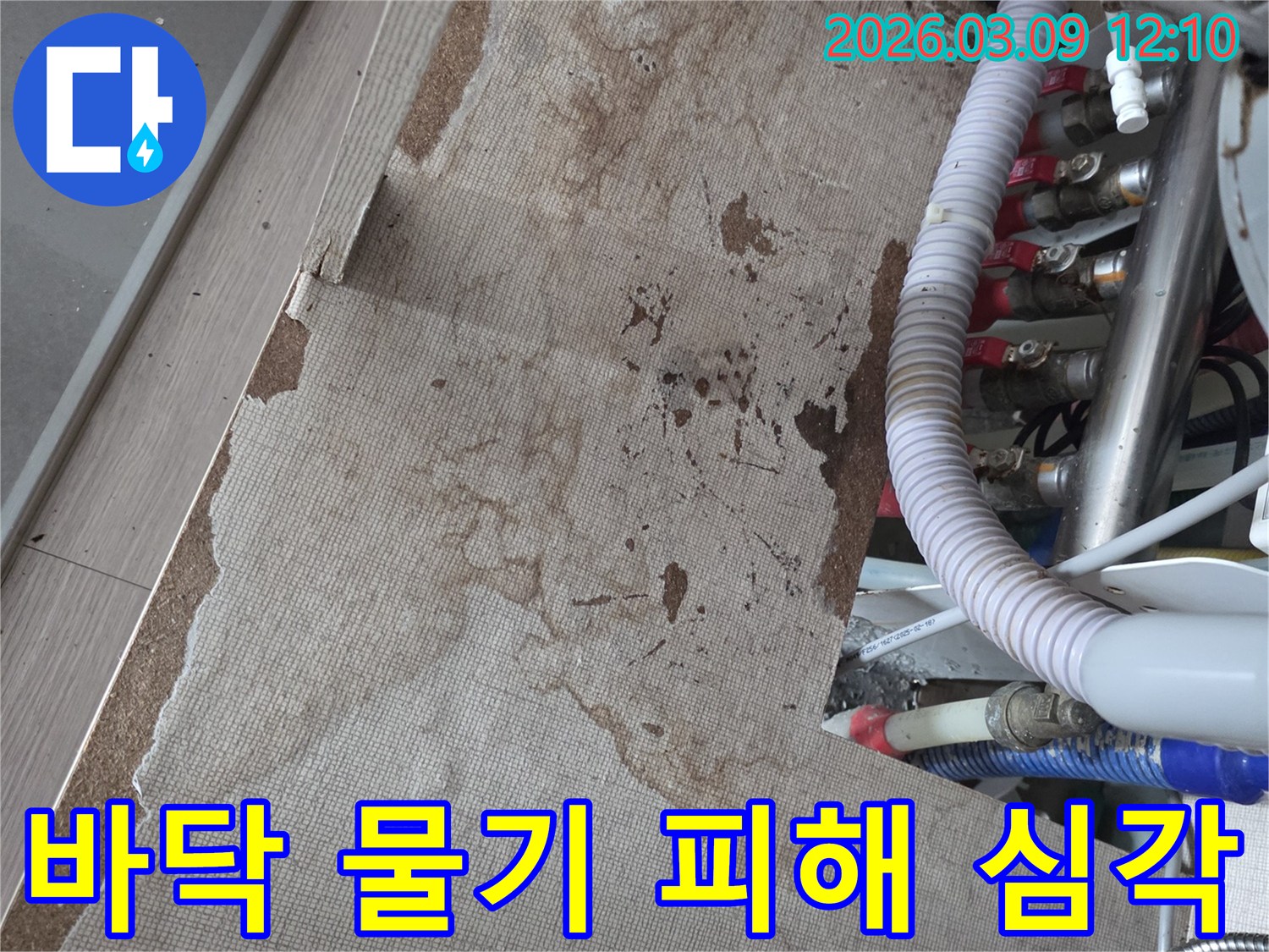 물에 젖어 심하게 손상된 바닥 마감재-즉각적인 조치가 필요한 누수 현장