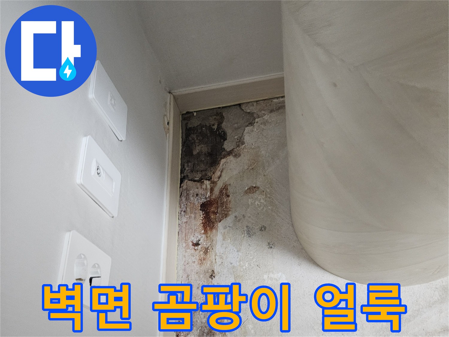 누수로-인해-발생한-벽면-곰팡이와-얼룩