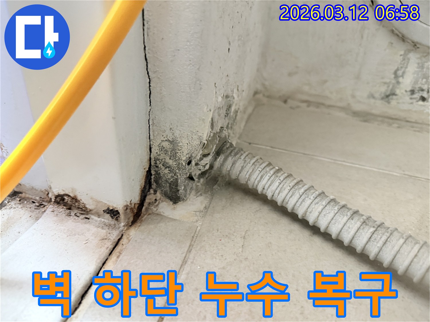 마포구-대흥동-아파트-벽-하단부의-심각한-누수-흔적과-곰팡이-상태-사진