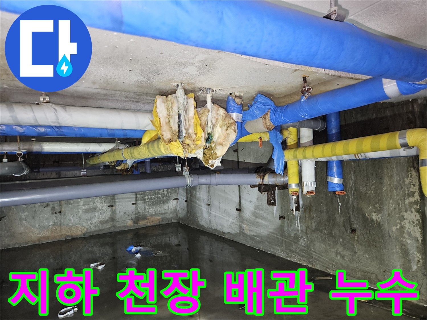 분당 구미동 건물-지하 천장 배관의 보온재가 젖어 있는 모습