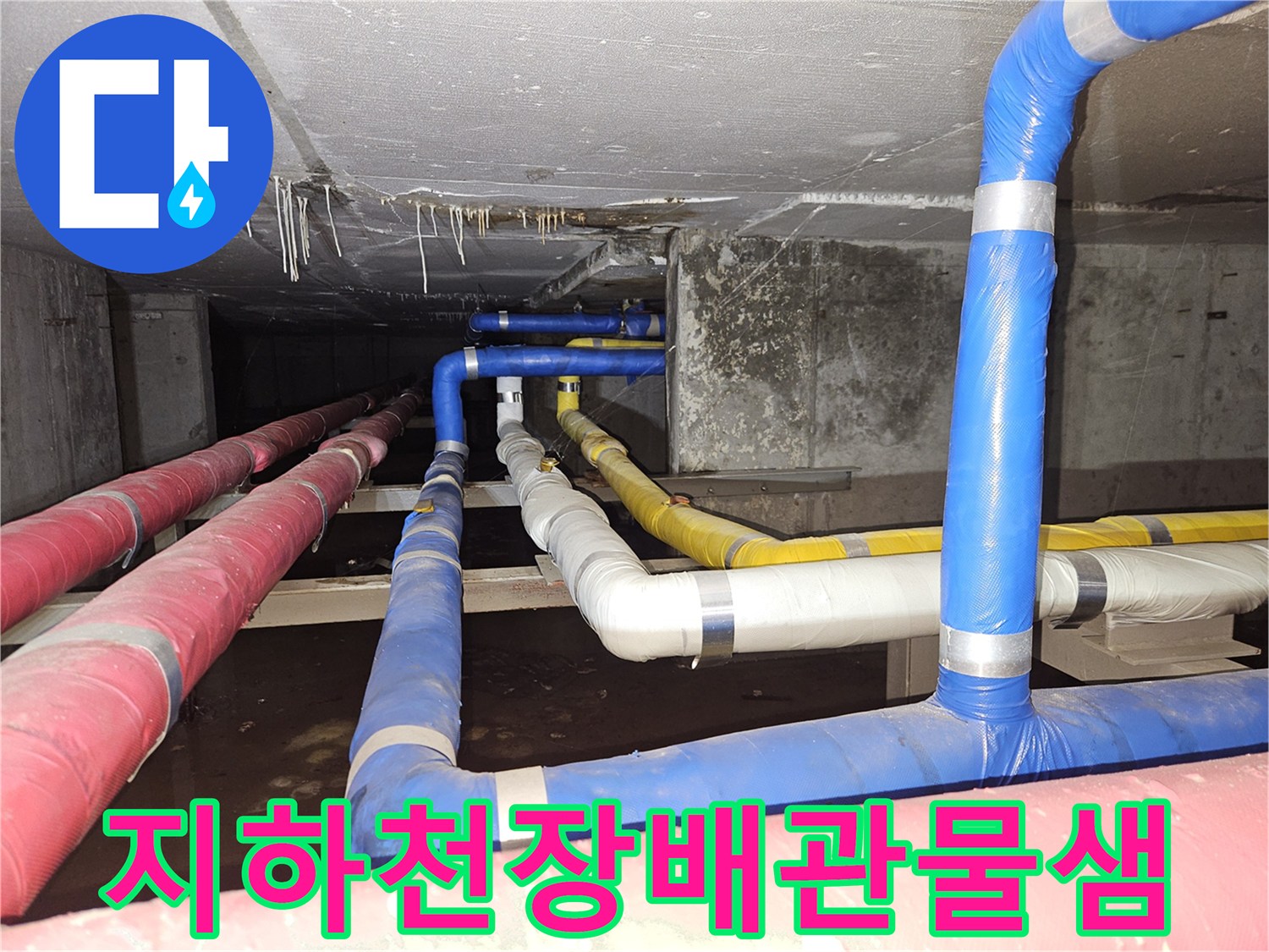 분당 구미동-빌라 지하 천장 내부의 젖은 배관 상태