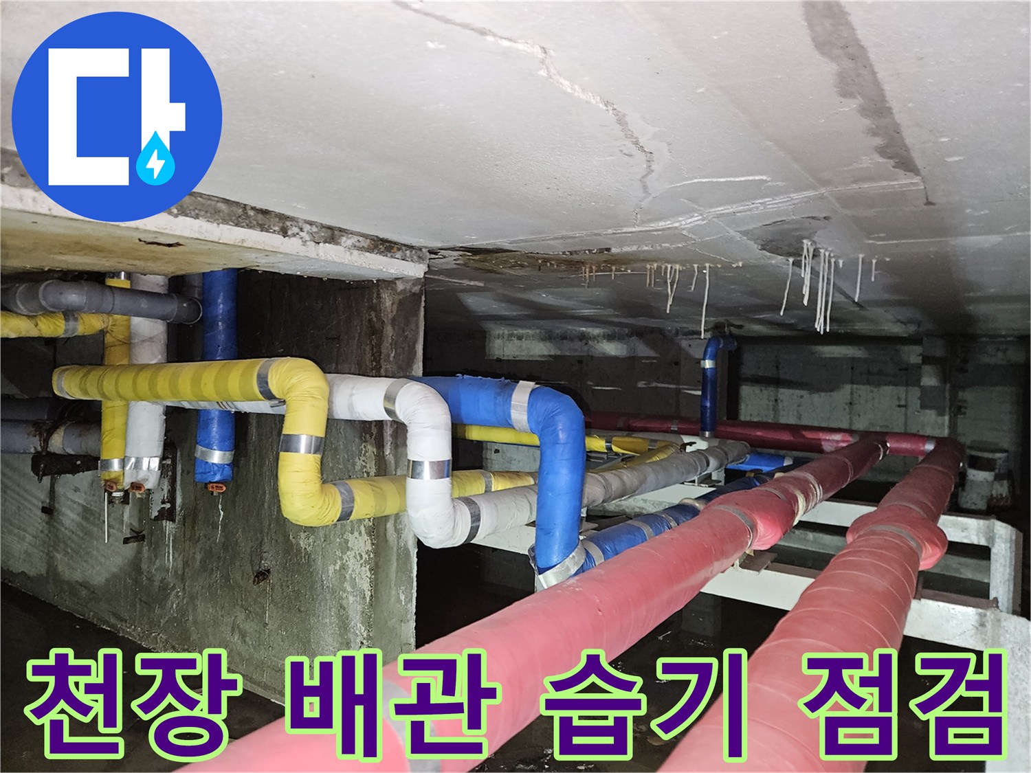 분당 빌라 지하-배관 주변의 습기와 물기 흔적
