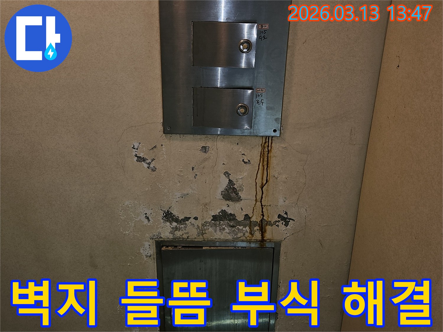 빌라 벽면의 벽지 들뜸 현상-심각한 부식과 물자국-누수 문제 해결