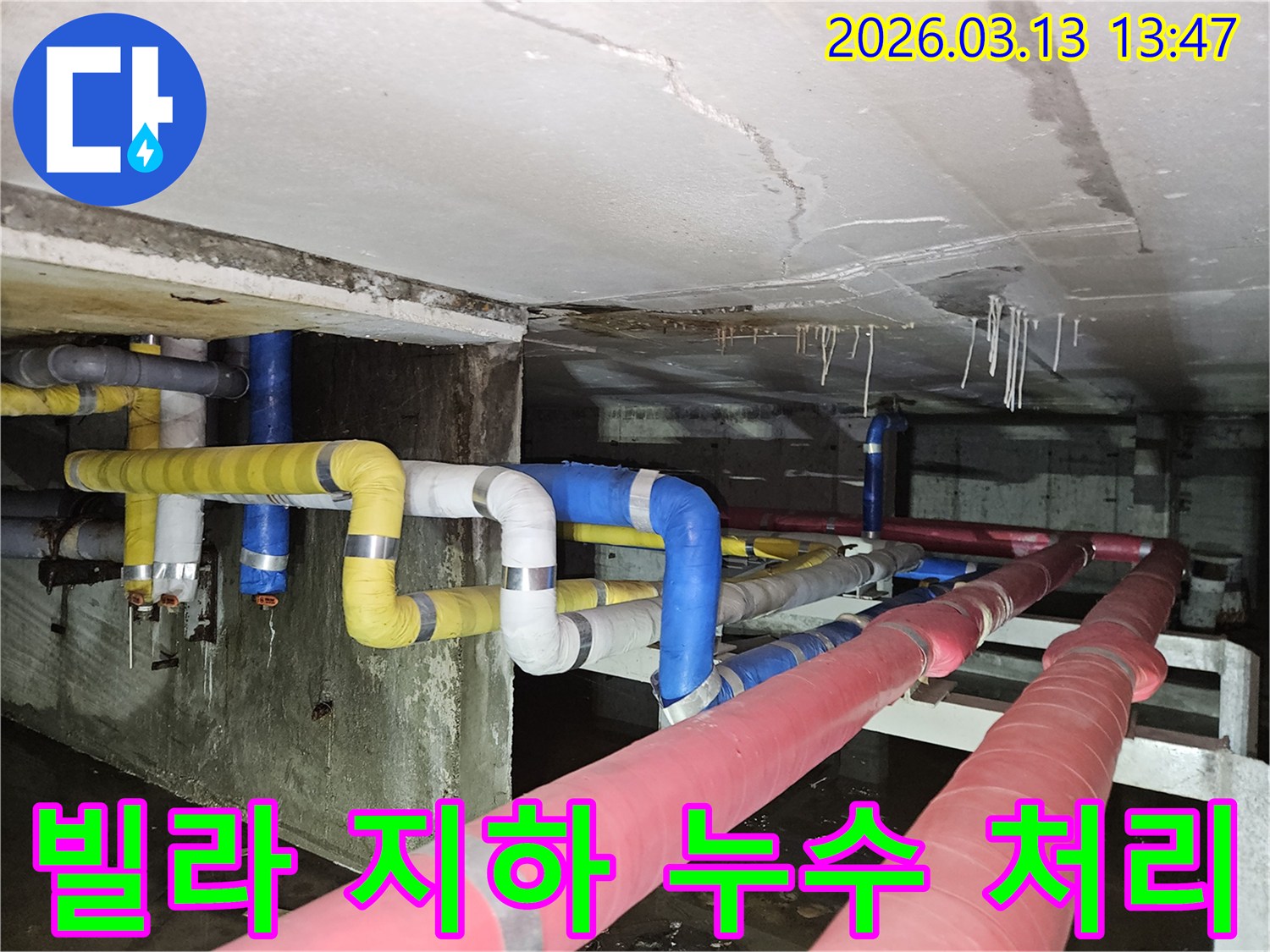 빌라 지하의-천장에서 물이 떨어져-바닥에 고인 물과-천장의 손상 흔적을-보여주는 현장 사진