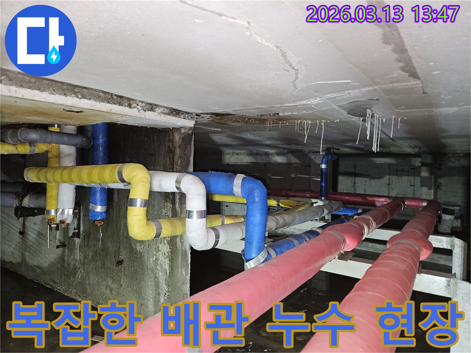 지하 공간의-다채로운 배관들 사이에서-발생한 누수로-천장과 바닥에-물이 고인 상황을-보여주는 이미지