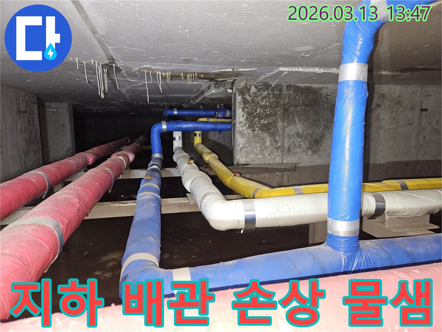 지하-공간의-배관-손상으로-인해-천장에서-물이-새는-현상을-정밀하게-점검하는-모습
