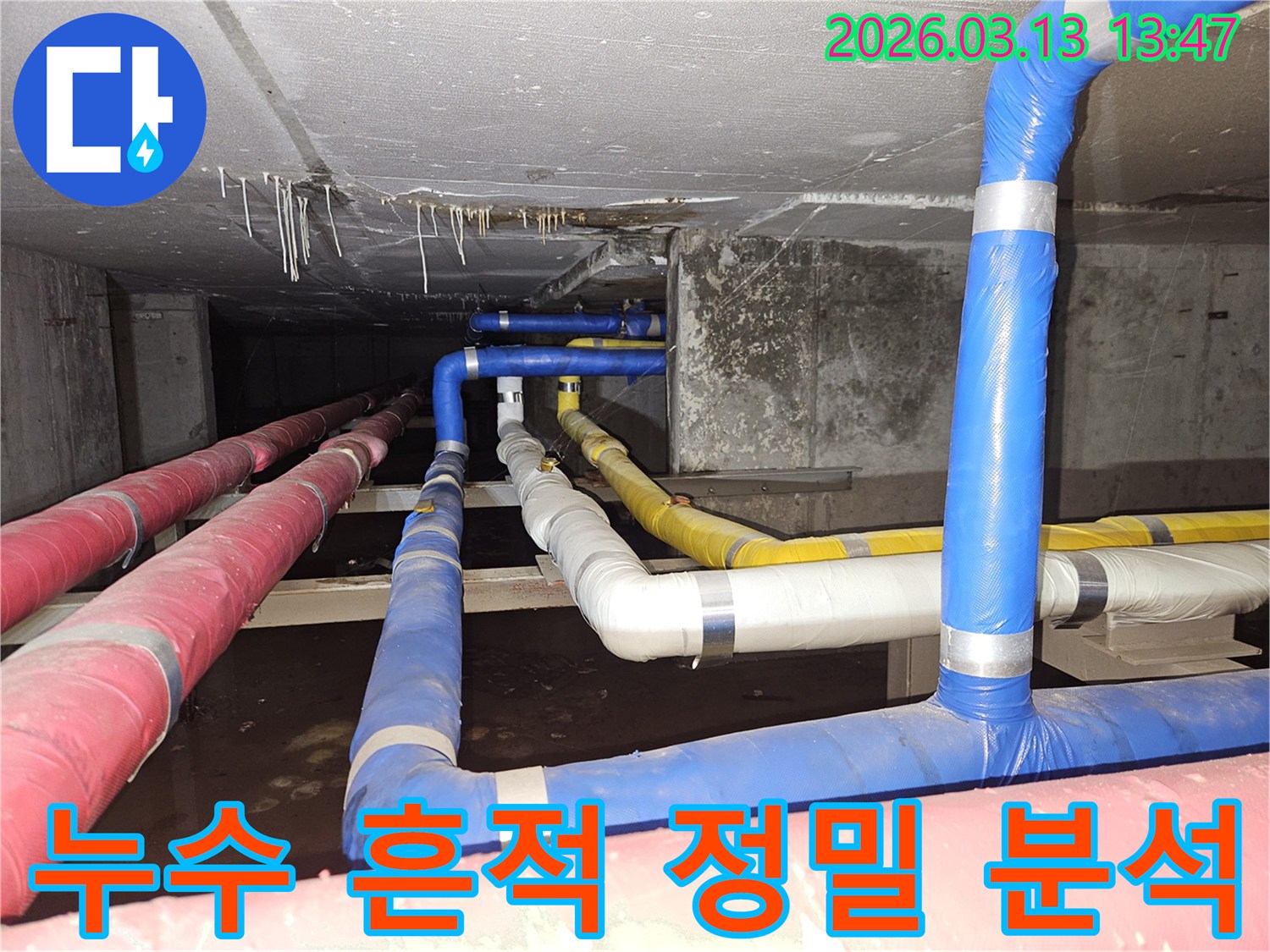 천장-콘크리트와-복잡한-배관들-사이에서-발견된-누수-흔적을-정밀하게-분석하는-전문가의-모습