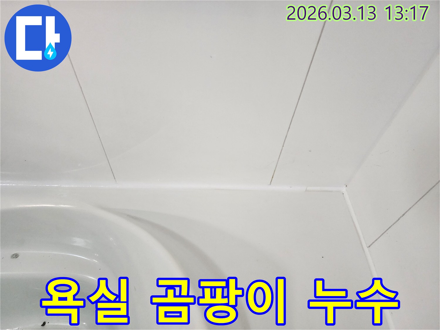 욕실-벽면과-욕조-이음새-부분에-발생한-곰팡이가-누수와-연관될-수-있음을-설명하는-모습입니다
