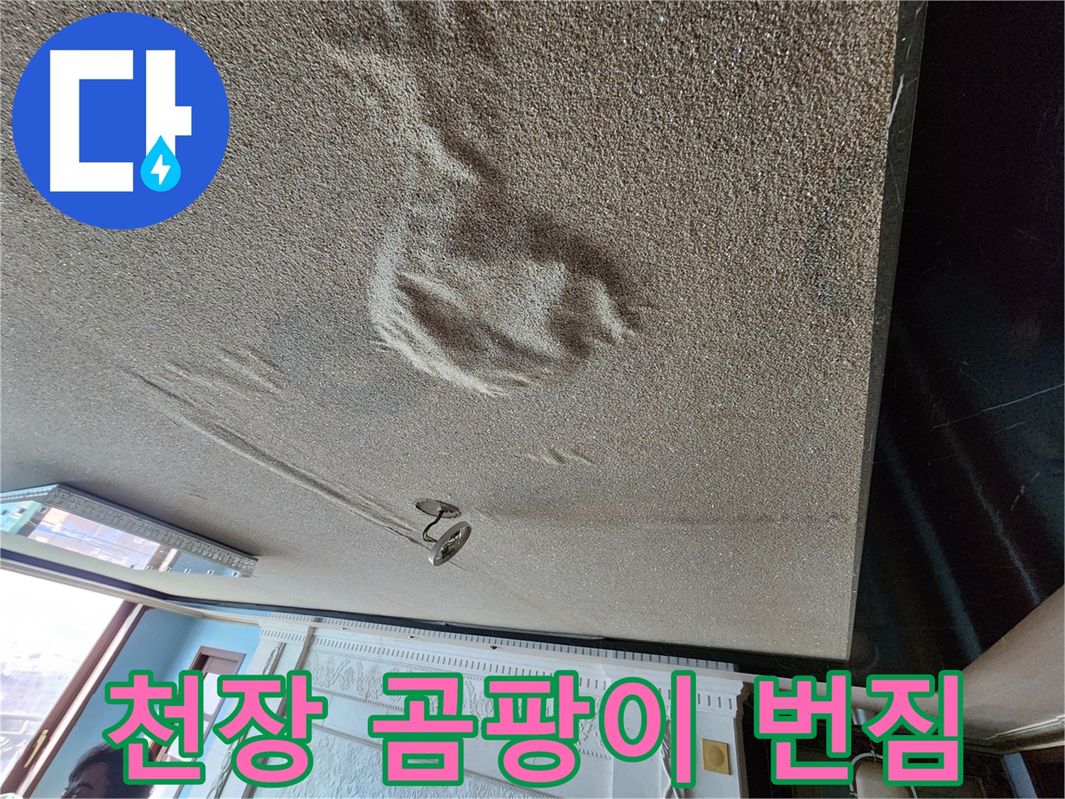 천장-마감재-사이로-퍼져나가는-습기와-곰팡이-흔적