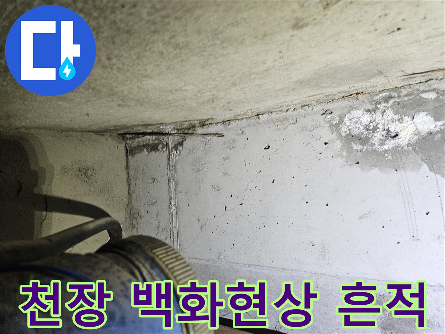 양천구 현장-콘크리트 천장에 나타난 하얀 백화현상