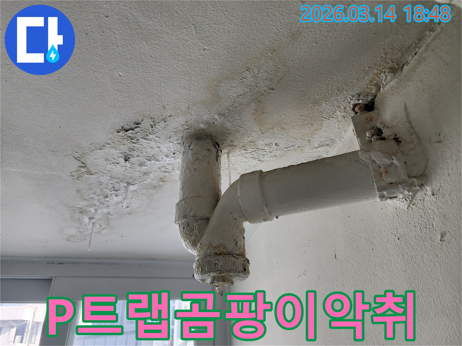 P트랩-배관-누수로-인해-천장에-곰팡이와-악취가-발생할-수-있는-위생-문제-현장