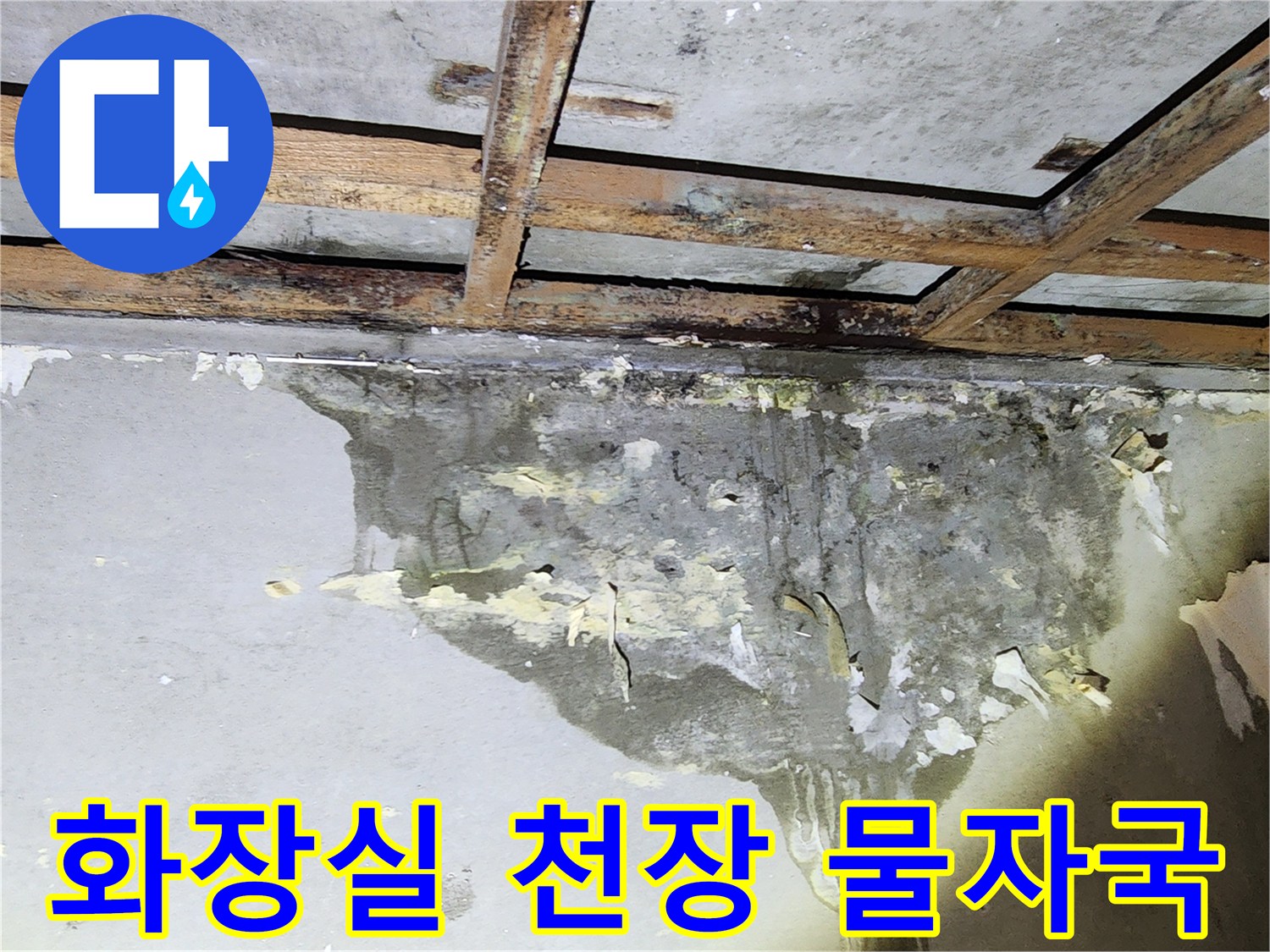 양천구 현장-천장 벽면의 젖은 흔적과 곰팡이 상태