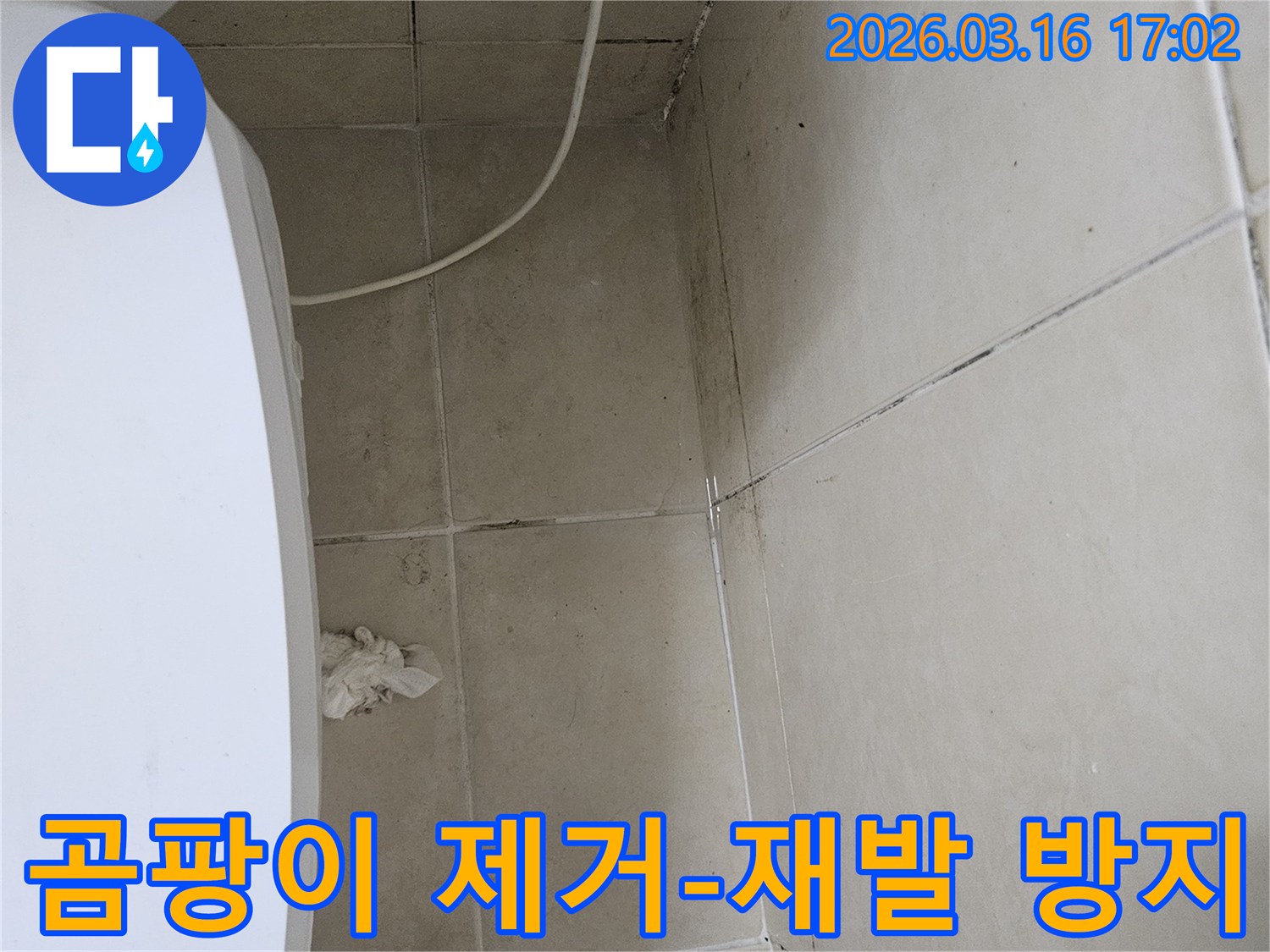 빌라 화장실 천장과 벽면 타일에 검은 곰팡이가 심하게 번져있으며-천장 일부가 손상되어 내부 누수가 의심되는 현장입니다