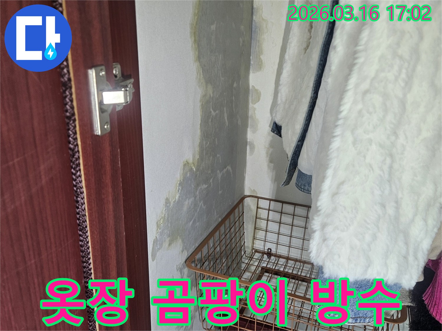 옷장 내부- 벽면에 생긴- 곰팡이와- 물기로 인한- 손상 부위