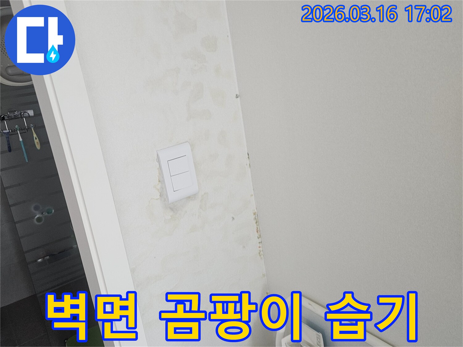 욕실-벽면에-누수로-인한-습기-때문에-곰팡이가-발생하여-위생-문제가-우려되는-현장입니다