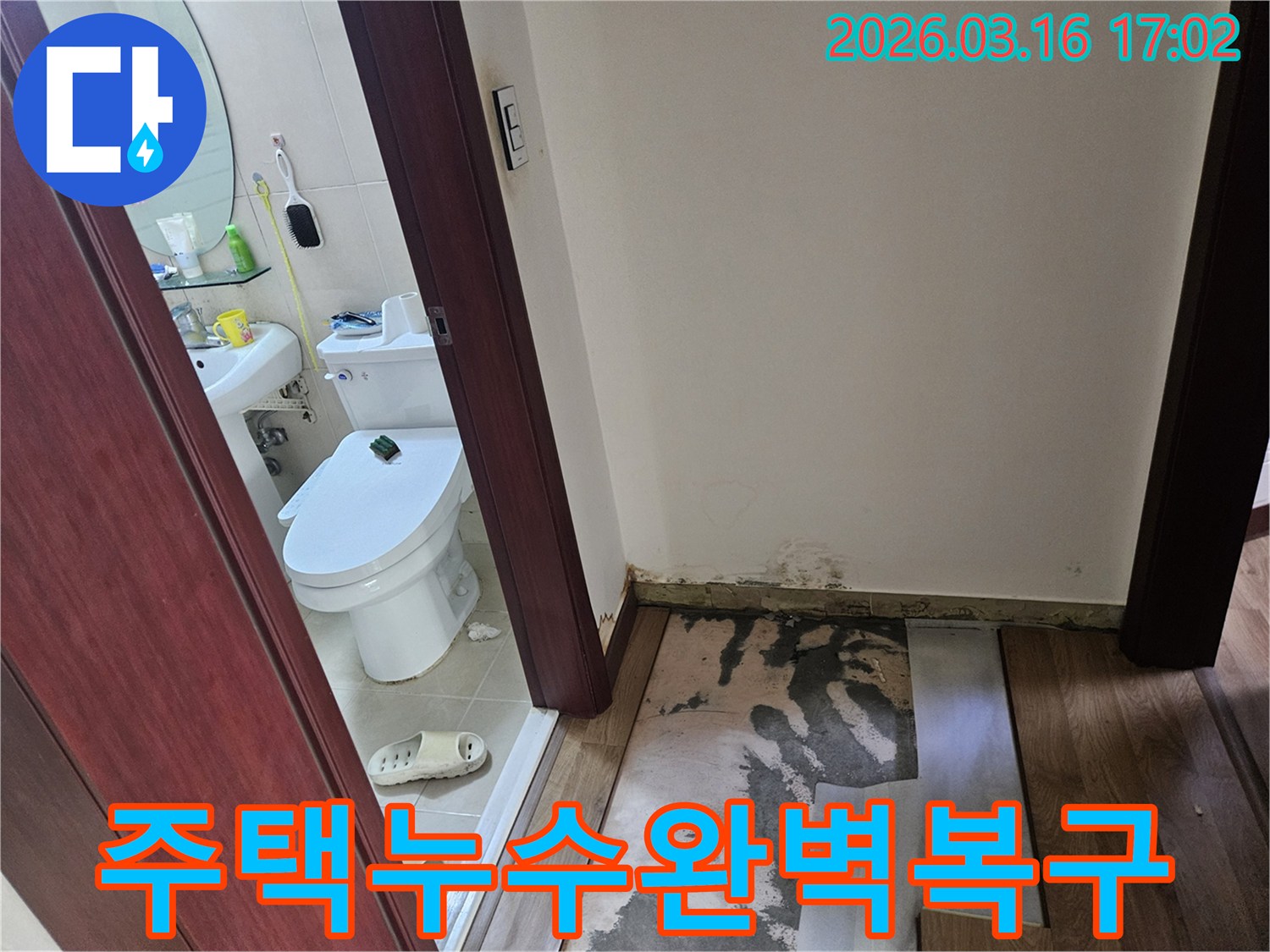 화성 병점구 주택-욕실 누수 피해로-바닥과 벽면에-습기와 곰팡이가-번진-상황을-기록한 이미지
