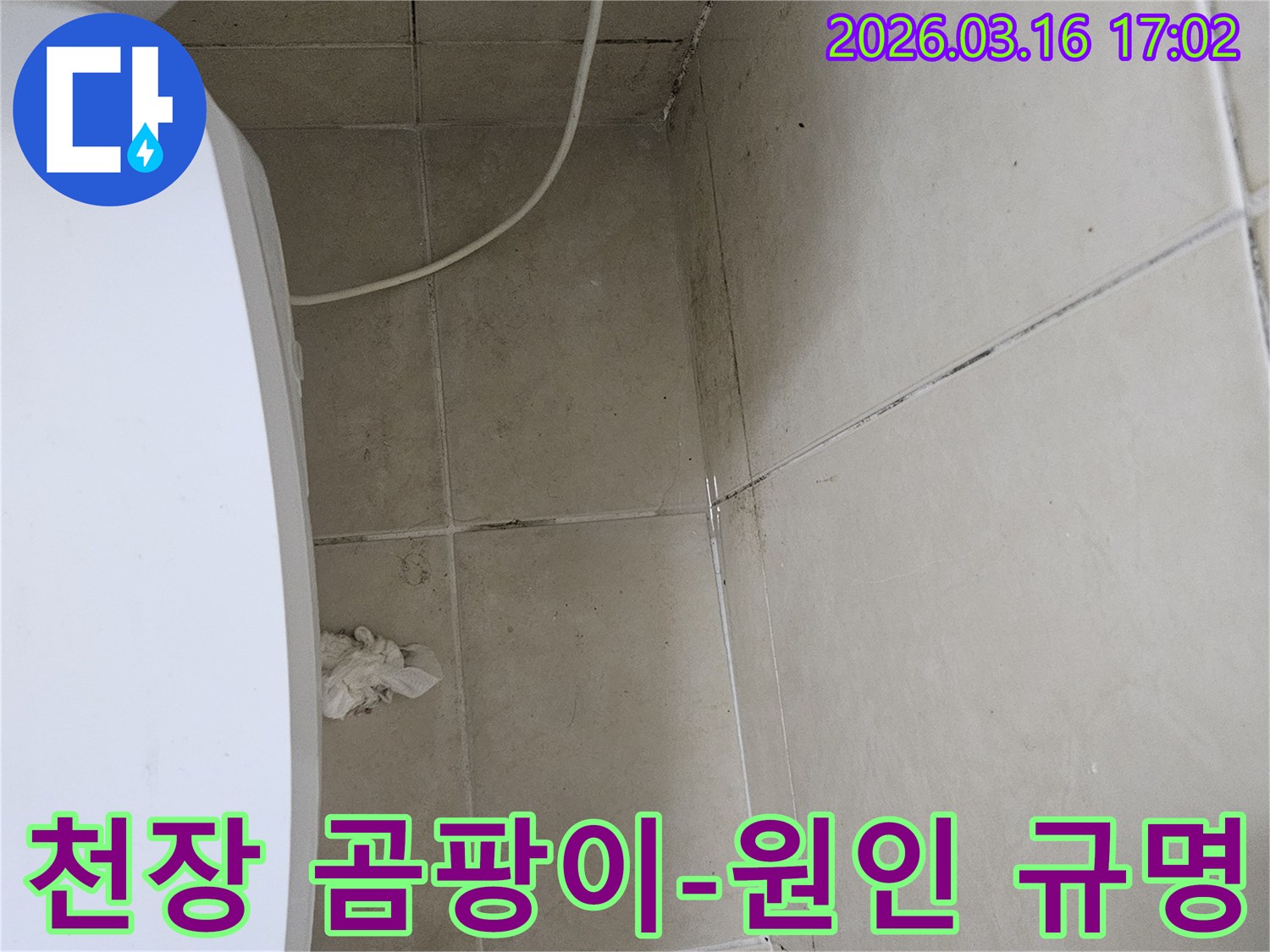 화장실 천장과 벽면 타일에 검은 곰팡이가 넓게 퍼져있으며-이는 누수로 인한 습기 축적의 명확한 증거입니다
