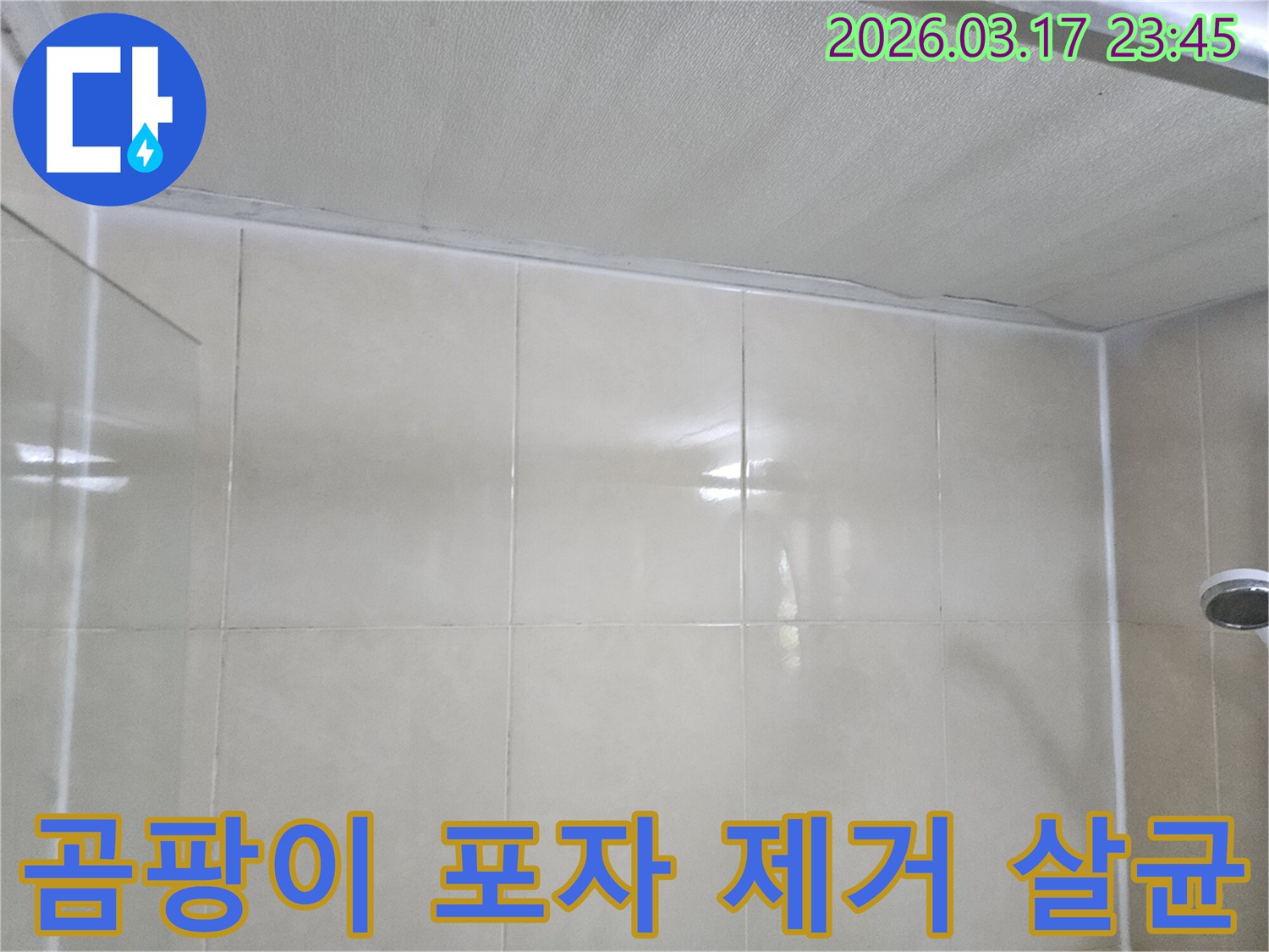 누수-엔지니어가-천장과-타일-벽면의-경계면에-발생한-누수-후-곰팡이-포자를-제거하고-살균하는-모습입니다