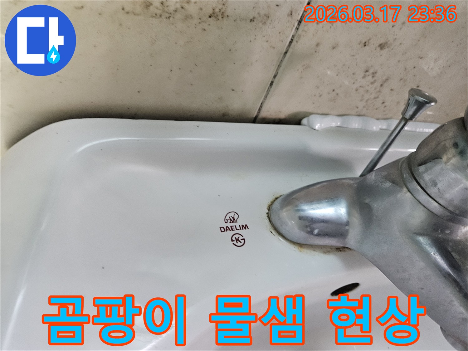대림 세면대 주변 벽에- 넓게 퍼진 검은 곰팡이와- 수도꼭지 하단에- 물샘으로 인한 오염이 보입니다