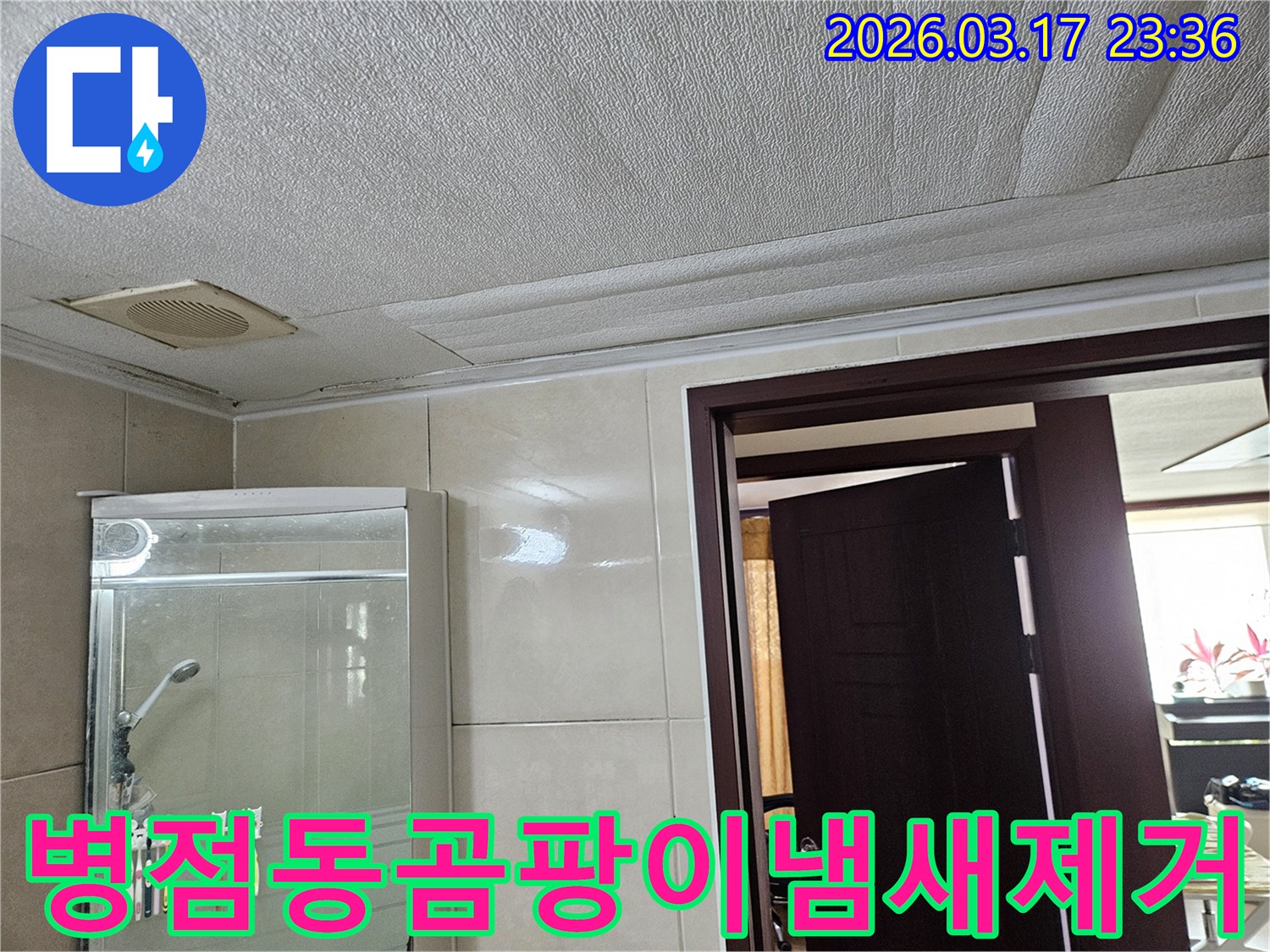 병점동 욕실 천장의-누수로 인한 곰팡이 냄새와-마감재 변색 현장을-누수 엔지니어가 제거하고-쾌적한 환경을 조성하기 위해-점검하는 모습입니다