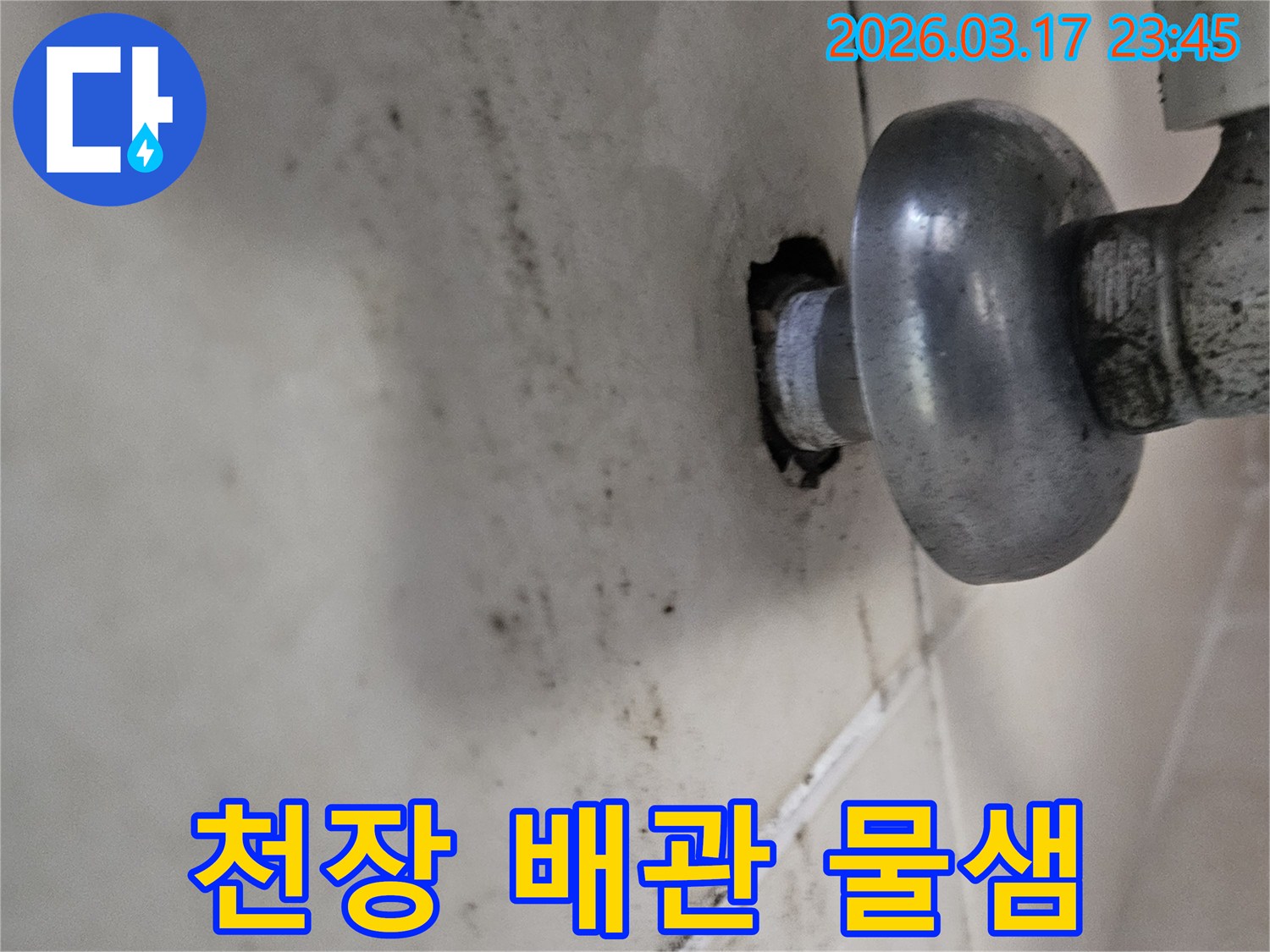 오래된 배관 주변에서 물이 새어-천장 타일이 오염된 모습입니다