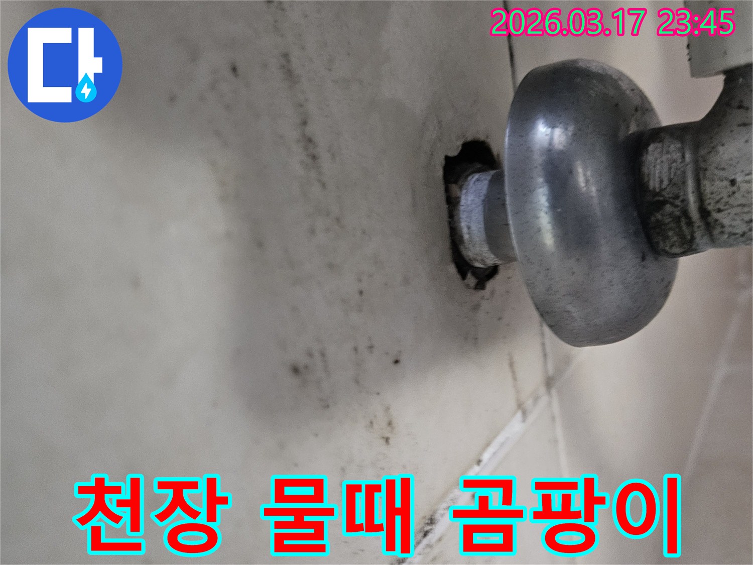 오랜 시간 지속된 누수로 인해-천장 마감재가 손상되고 곰팡이가 번식했습니다