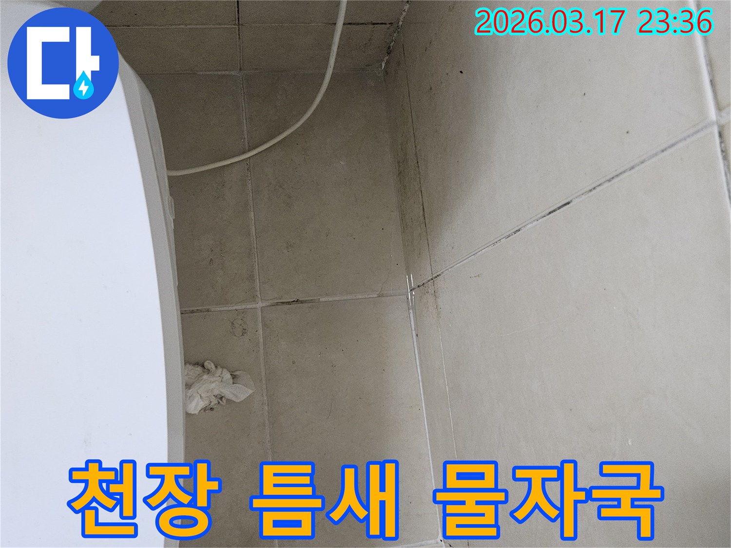 이-사진은-천장-타일의-틈새와-모서리에-발생한-물자국과-검은-곰팡이를-보여주며-이는-누수로-인한-지속적인-습기-침투를-의미합니다