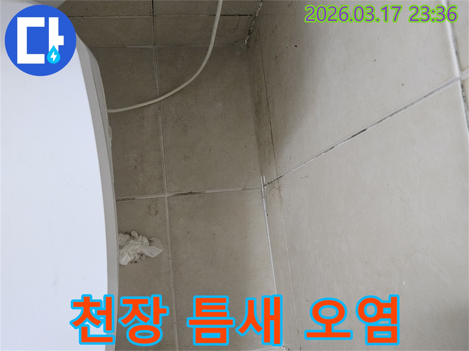 이-사진은-천장-타일의-틈새와-모서리에-발생한-물자국과-검은-곰팡이를-보여주며-이는-누수로-인한-지속적인-습기-침투를-의미합니다