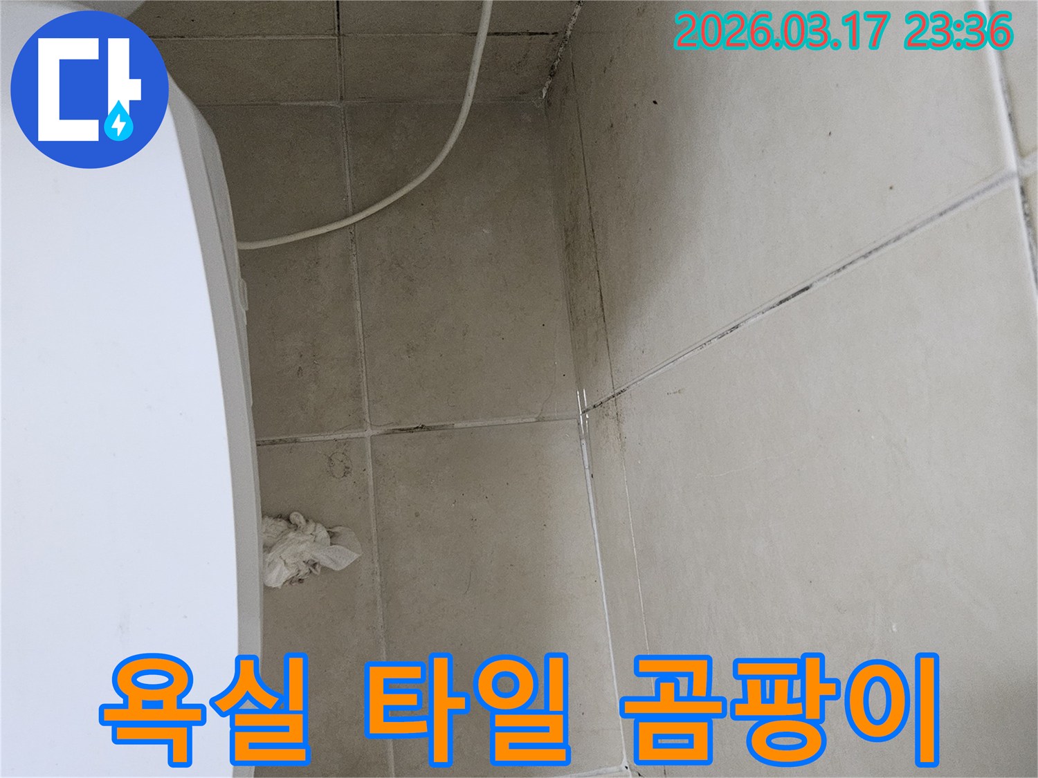 이 이미지는-욕실-천장과-벽면-타일의-모서리-부분에-발생한-심각한-곰팡이와-오염을-보여주며-이는-욕실-누수-가능성을-강하게-시사합니다