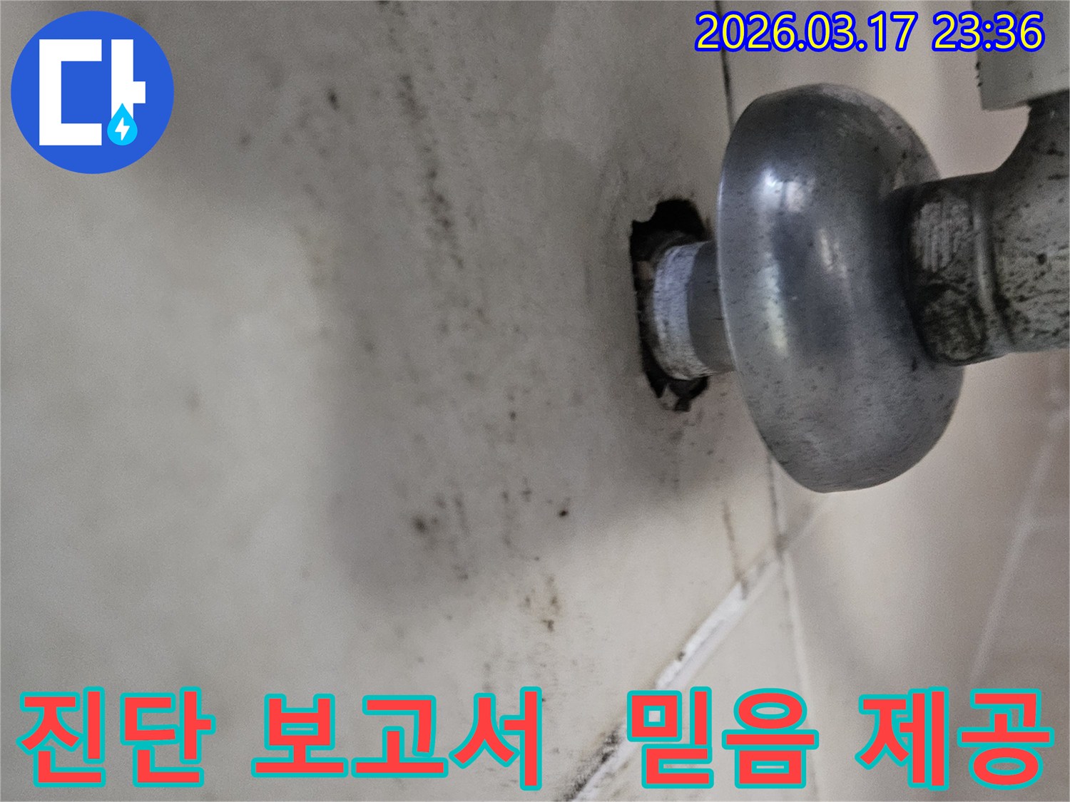 천장-배관에서-발생한-누수로-인해-오염된-벽면과-상세한-진단-보고서를-제공하여-믿음을-주는-모습