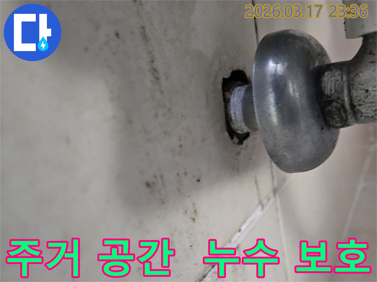 천장-배관에서-발생한-누수로-인해-오염된-벽면과-소중한-주거-공간을-누수로부터-지켜야-하는-모습