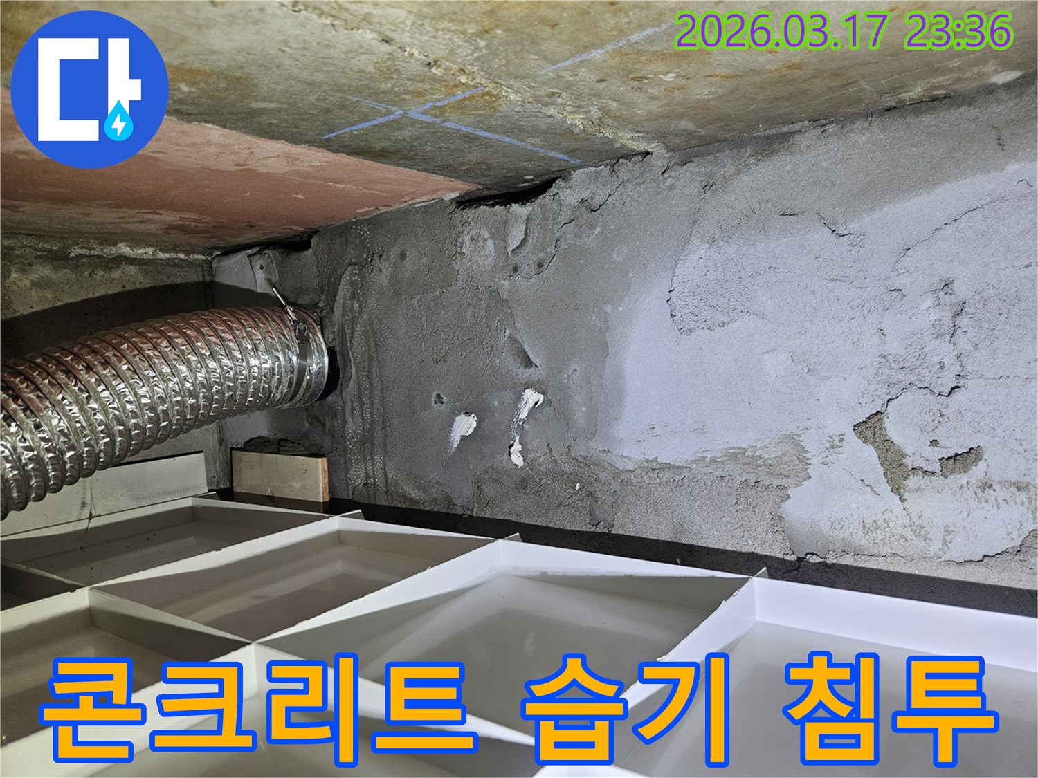 천장 콘크리트가 물에 젖어-습기가 침투된 모습을 보여주는-누수 현장 사진