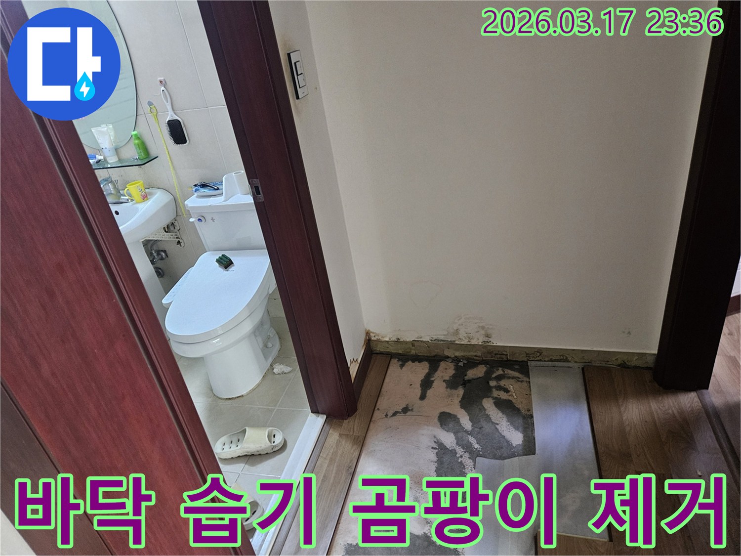 화성 병점 상가-화장실 입구 바닥에-누수로 인한 습기와-곰팡이가 발생하여-바닥재가 제거된-현장 모습입니다