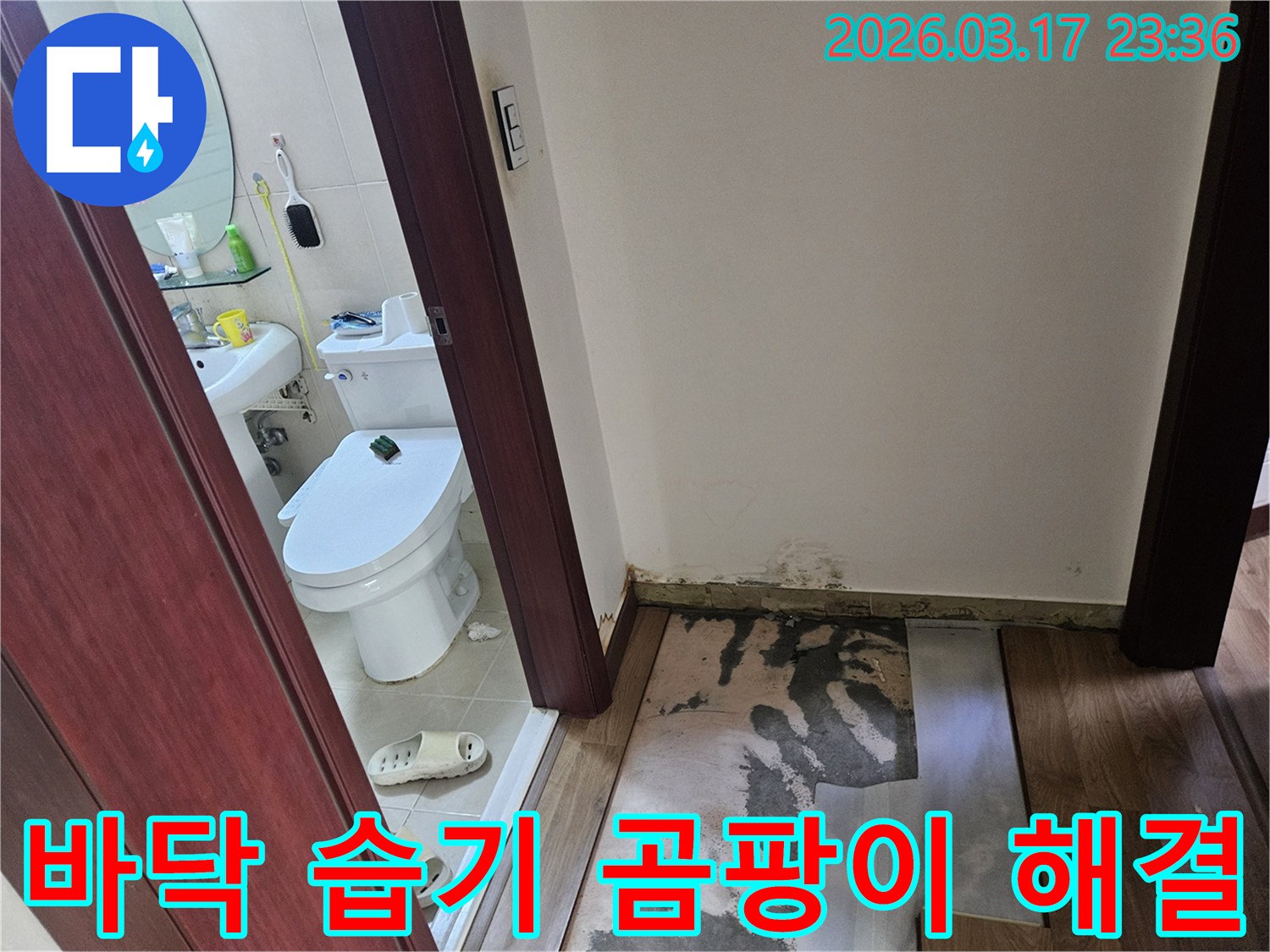 화성 병점 아파트-화장실 입구 바닥에-누수로 인한 습기와-곰팡이가 발생하여-바닥재가 제거된-현장 모습입니다
