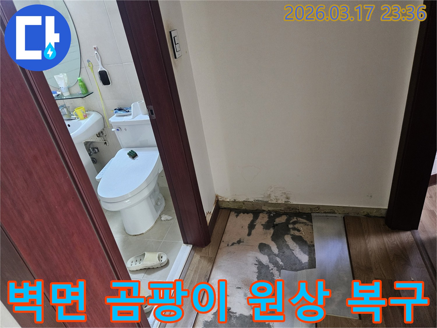 화장실 입구 벽면 하단에-누수로 인한-심각한 곰팡이가 발생하여-바닥재가 제거된-현장 사진입니다