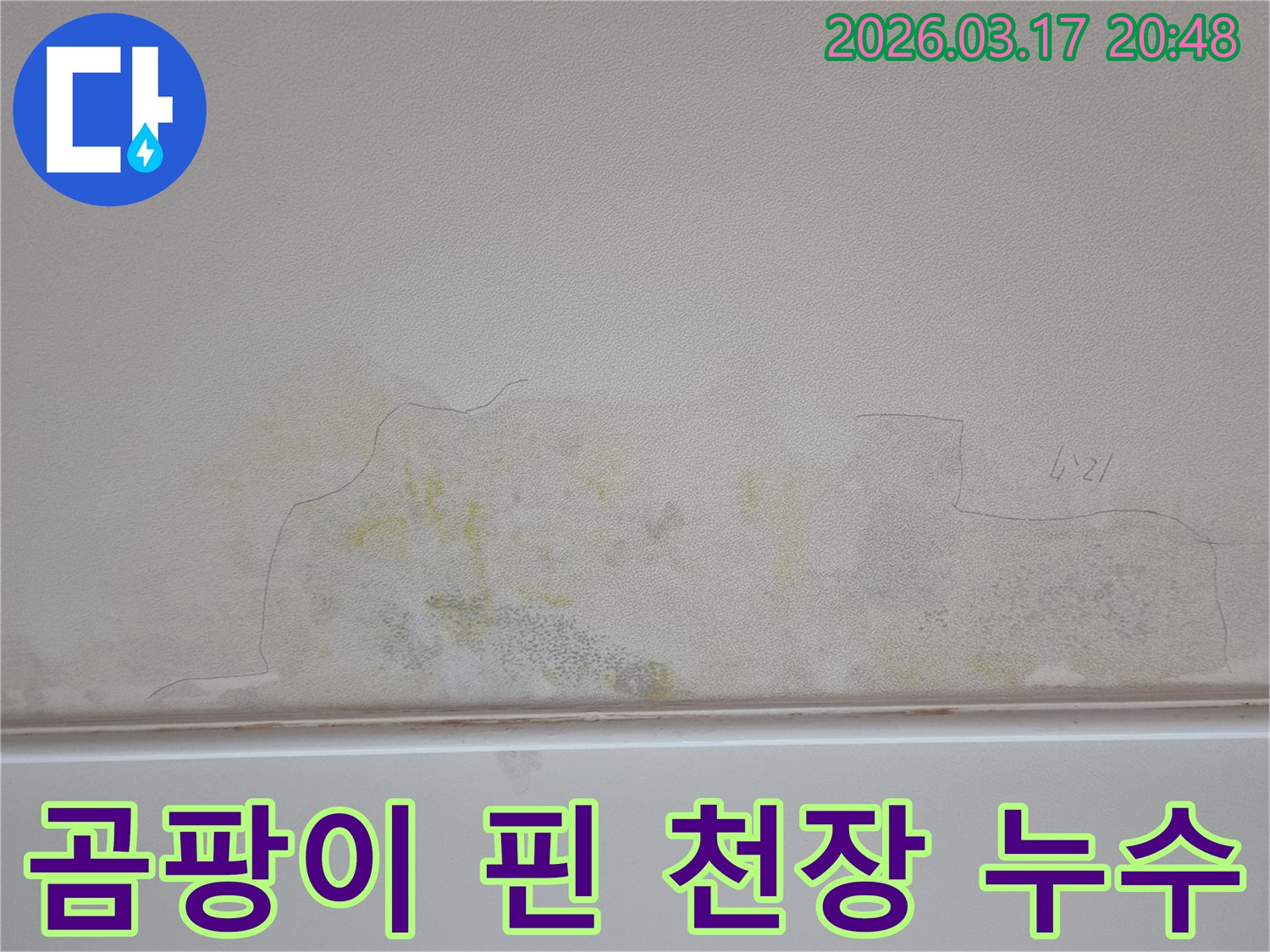누수 문제로 천장이 손상된 모습-물얼룩과 곰팡이가 번져있어-전문가의 도움이 필요합니다