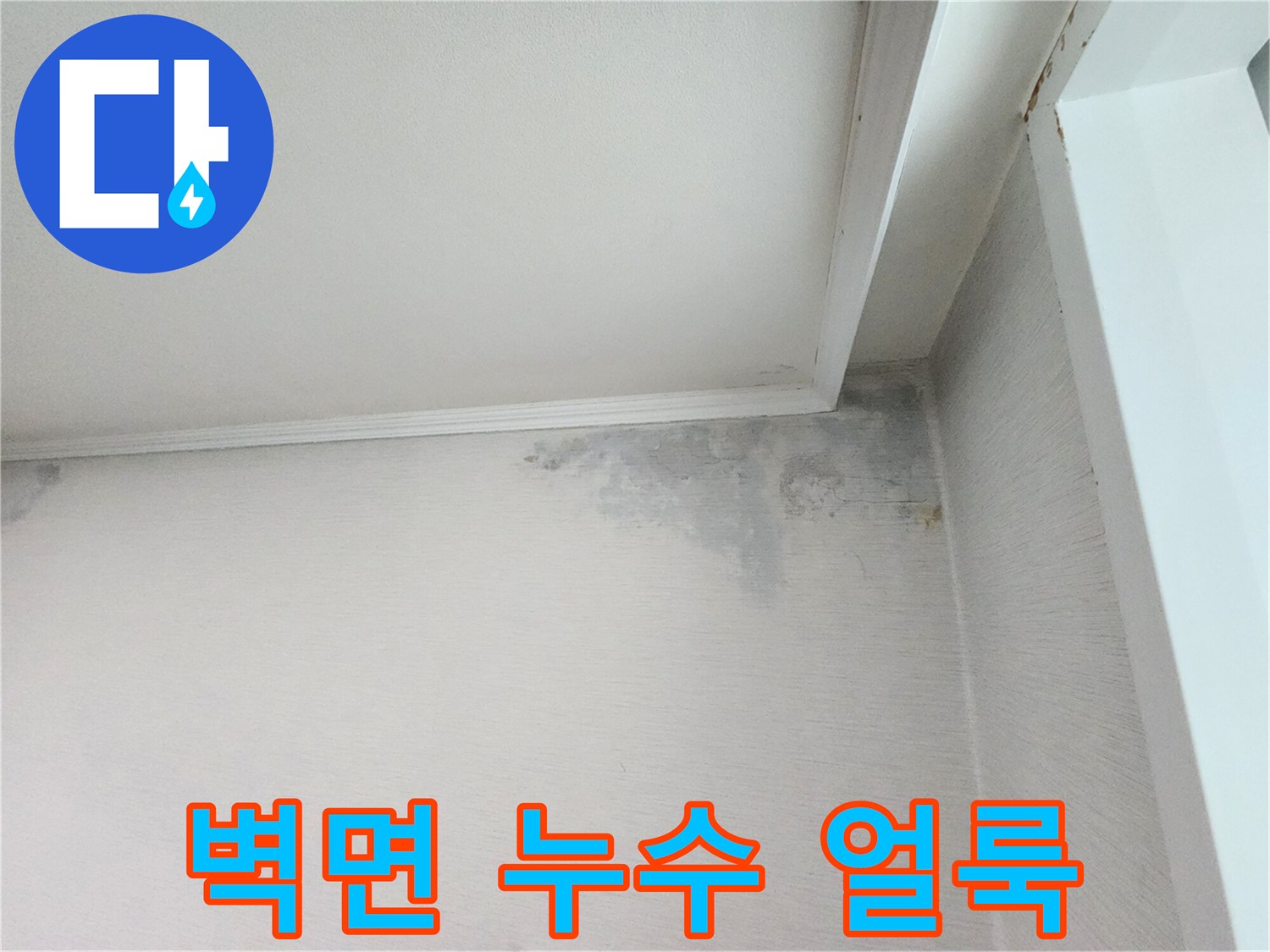 분당 정자동 아파트 거실 - 천장 구석의 곰팡이와 물샘 흔적 촬영