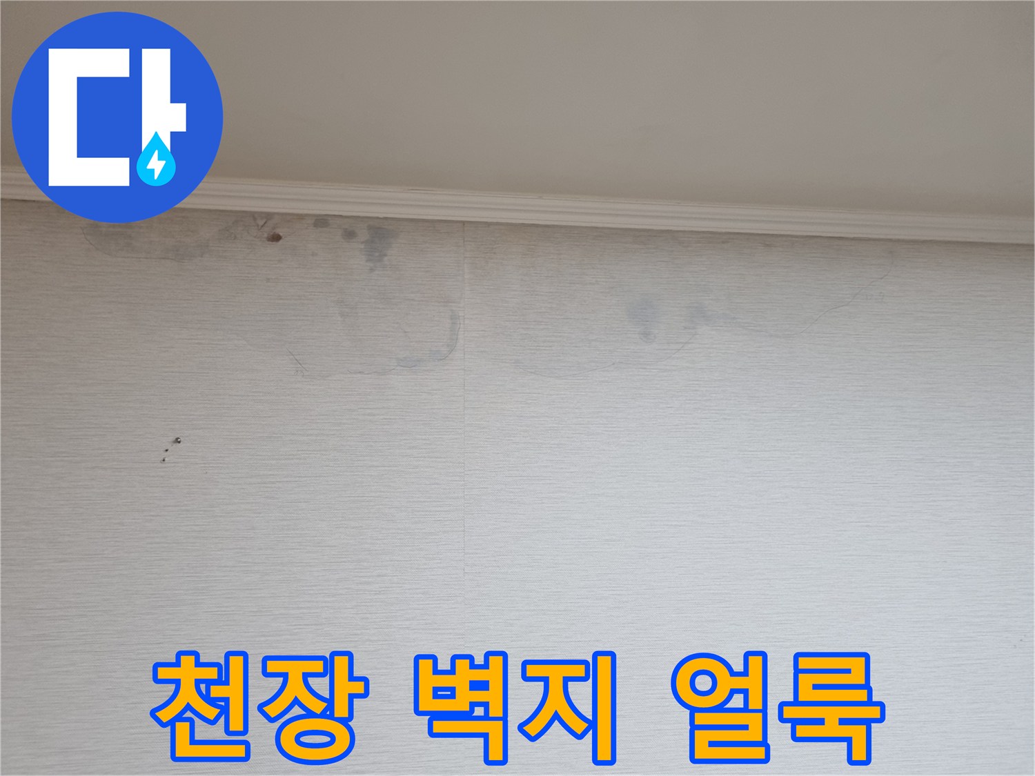 분당 정자동 아파트 거실 천장 벽지 변색 및 얼룩 상태